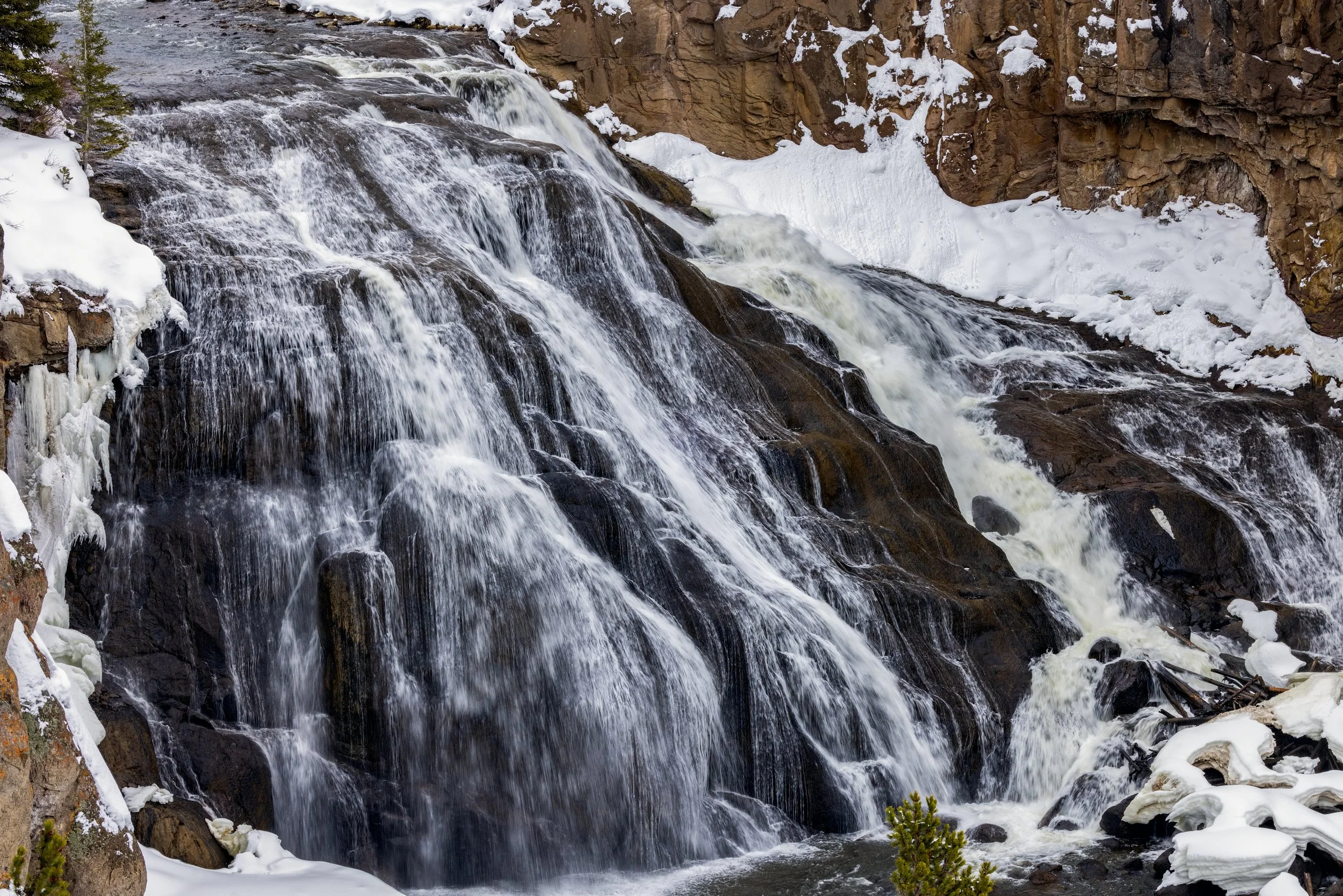 Yellowstone_Winter_Photo_Tour_Workshop-6990-Edit.jpg