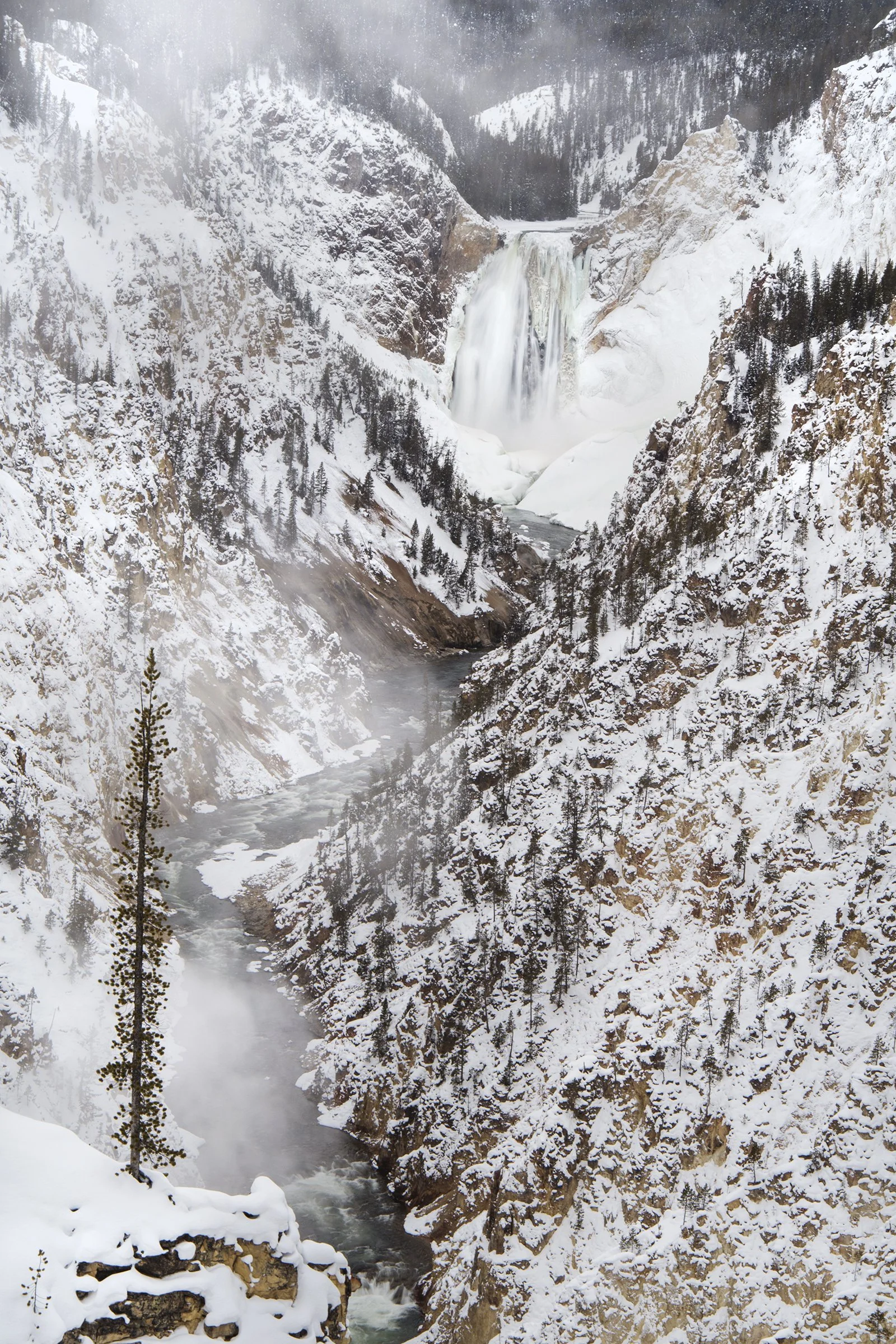 Yellowstone_Winter_Photo_Tour_Workship_JB2.jpg