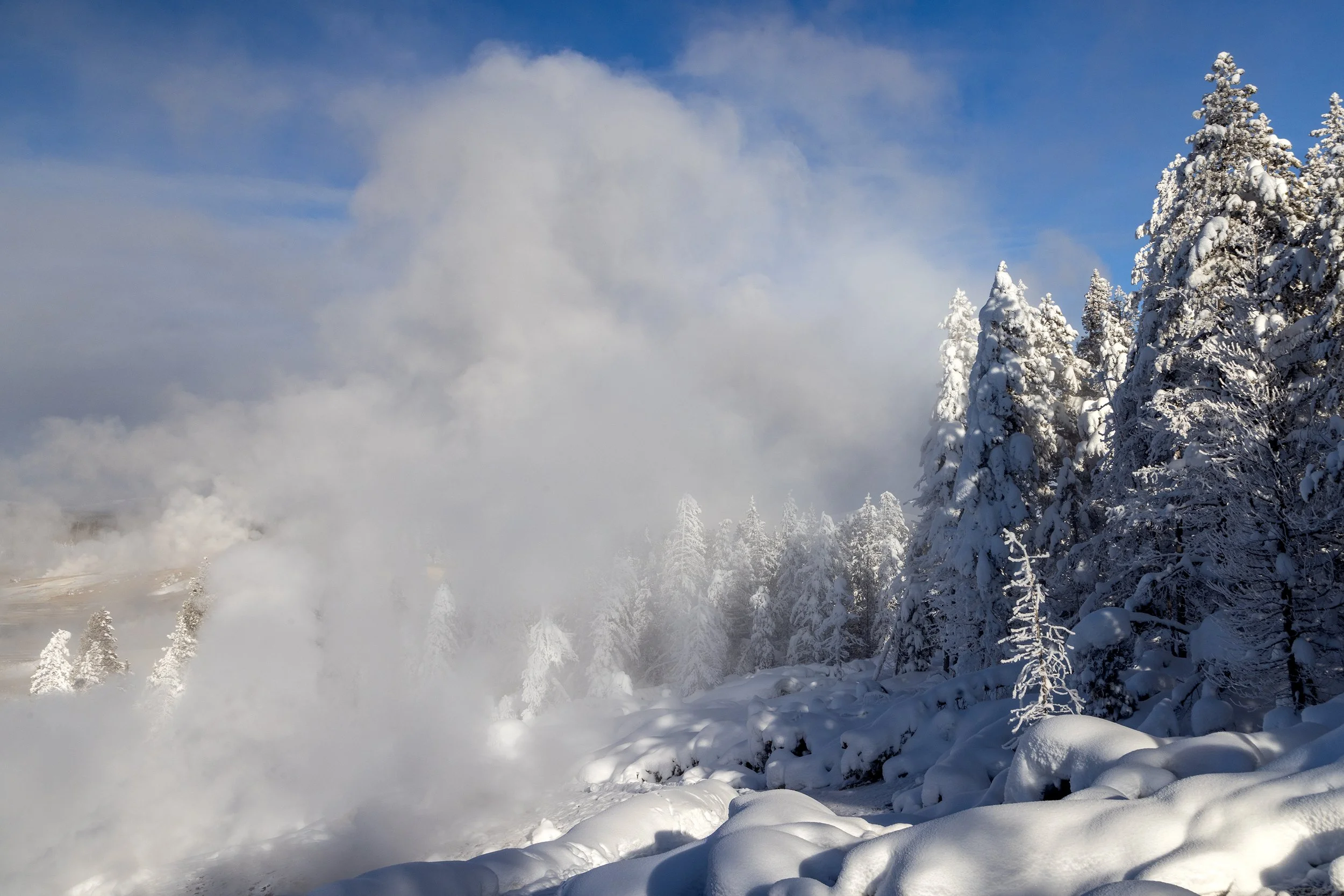 Yellowstone_Winter_Photo_Tour_Workshop-0521-Edit.jpg