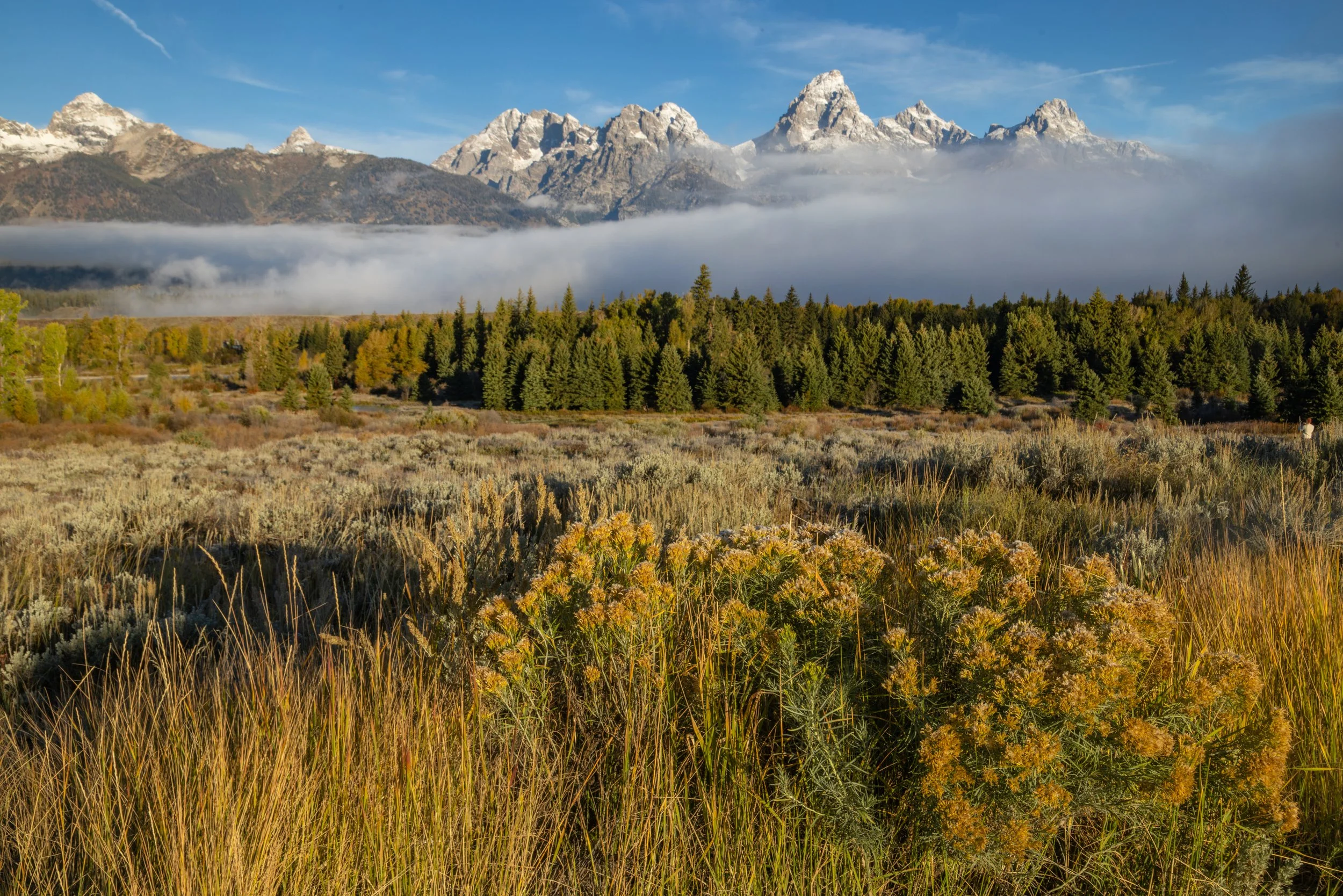 Grand_Teton_Photo_Tour_Workshop-2037.jpg
