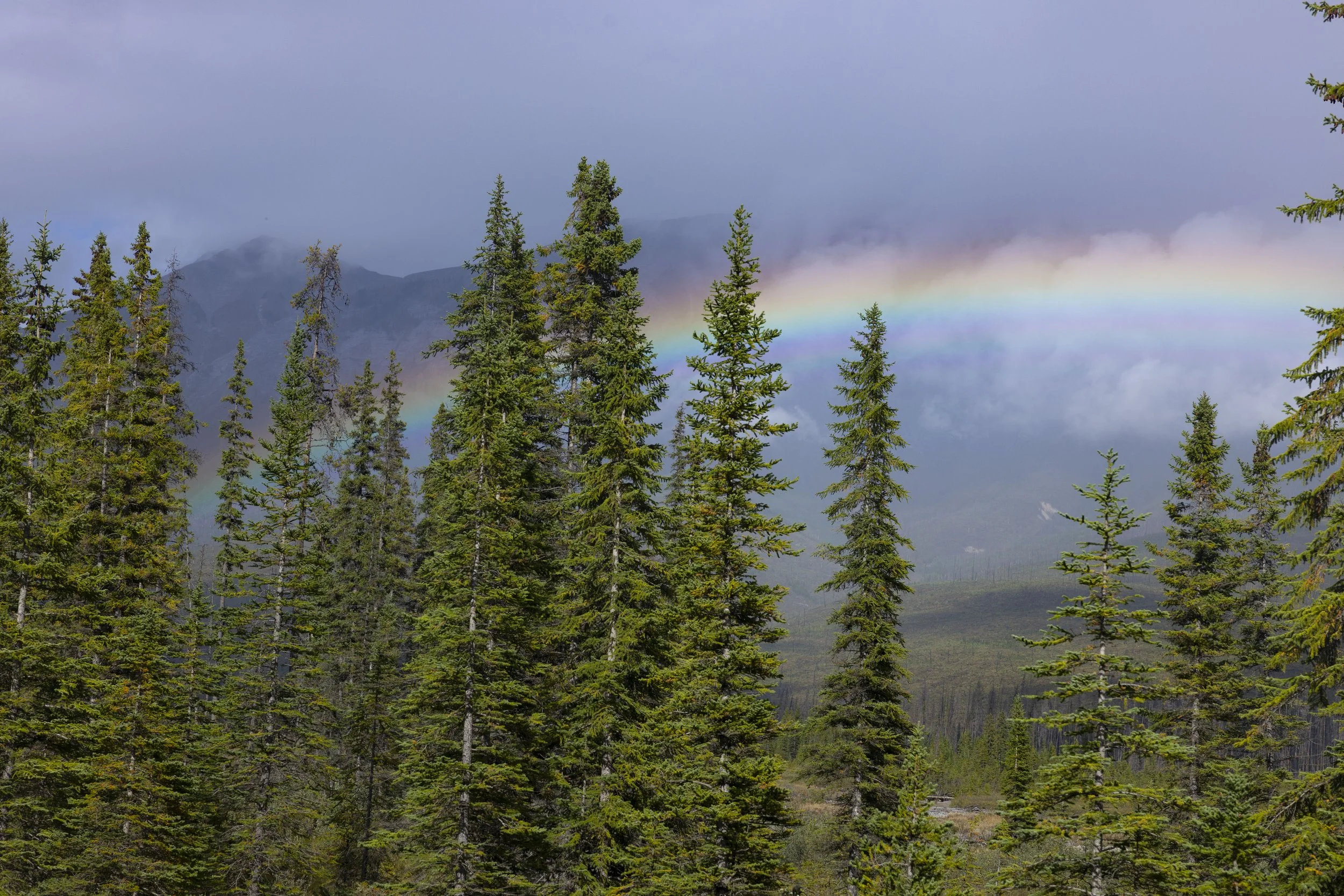 Kananaskis_Canadian_Rockies_Photo_Tour_Workshop-9086.JPG