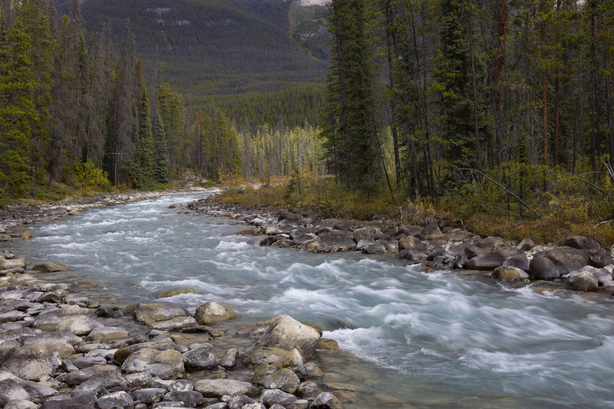 Banff_Canadian_Rockies_Photo_Tour_Workshop-3008.JPG