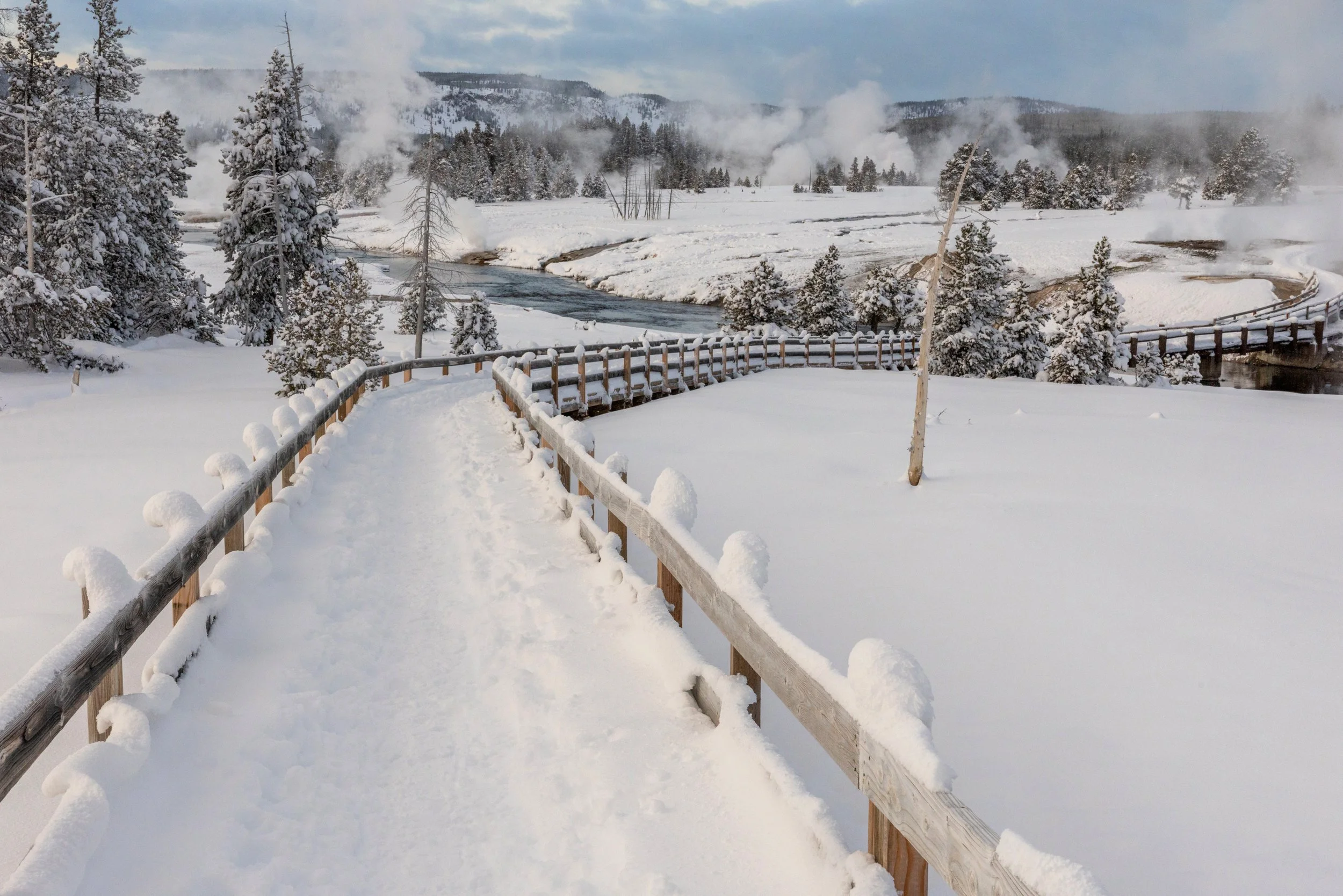 Yellowstone_Winter_Photo_Tour_Workshop-4213.jpg