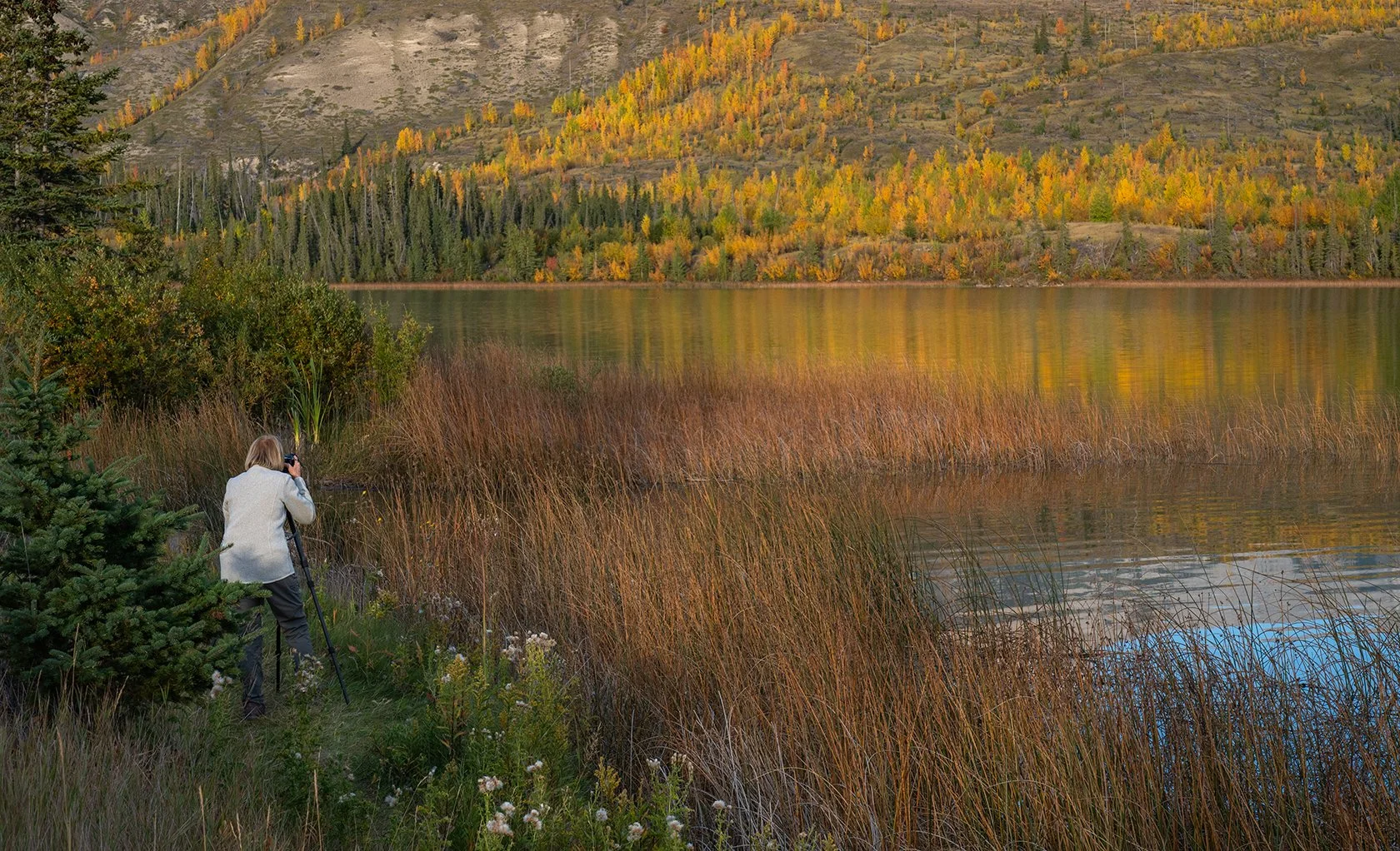 CanadianRockies_Fall_Color_Jasper.jpg