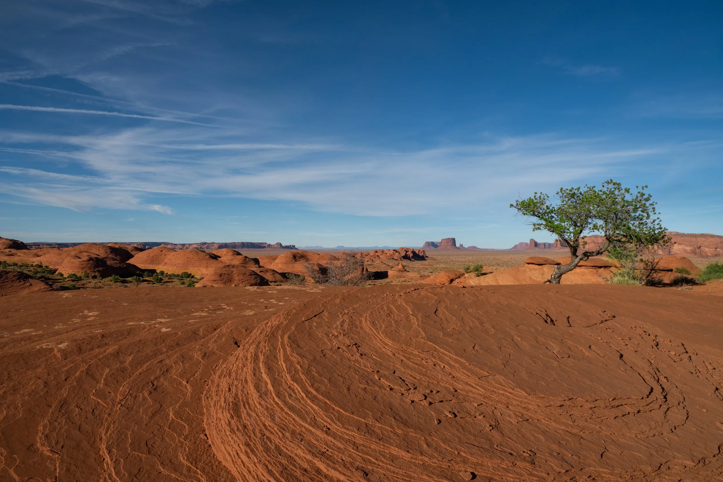 Arizona_Classics_Monument_Valley.jpg