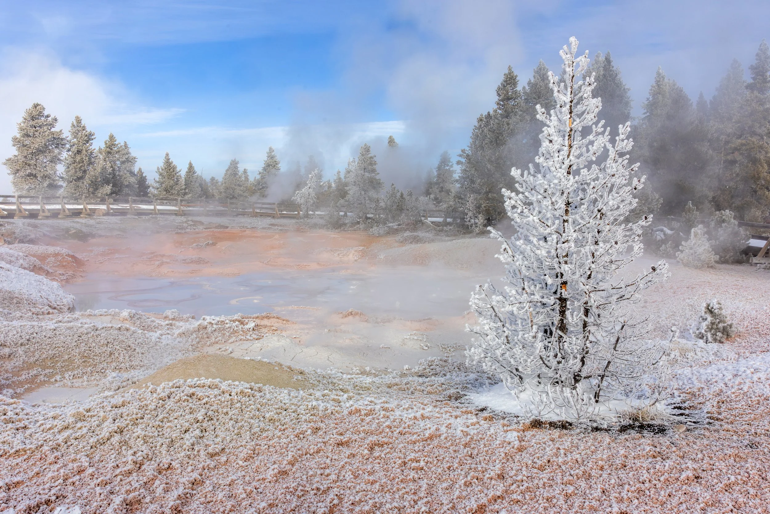 Yellowstone_Winter_Photo_Tour_Workshop-3945.jpg