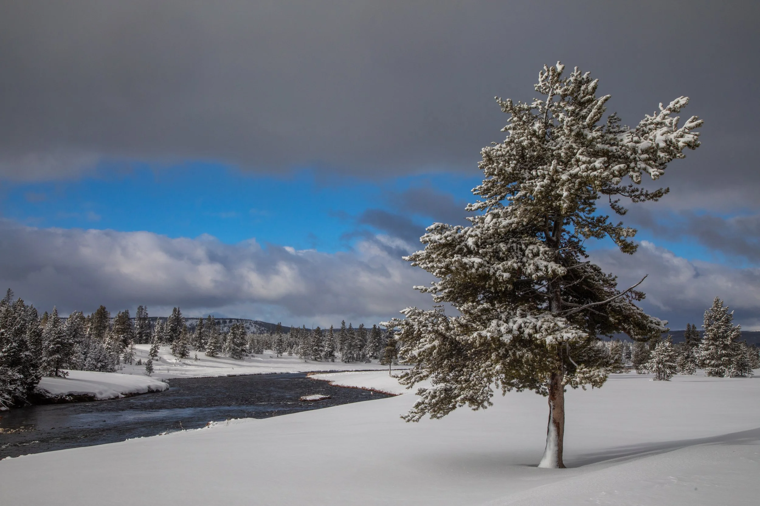 Yellowstone_Winter_Photo_Tour_Workshop-4026.jpg