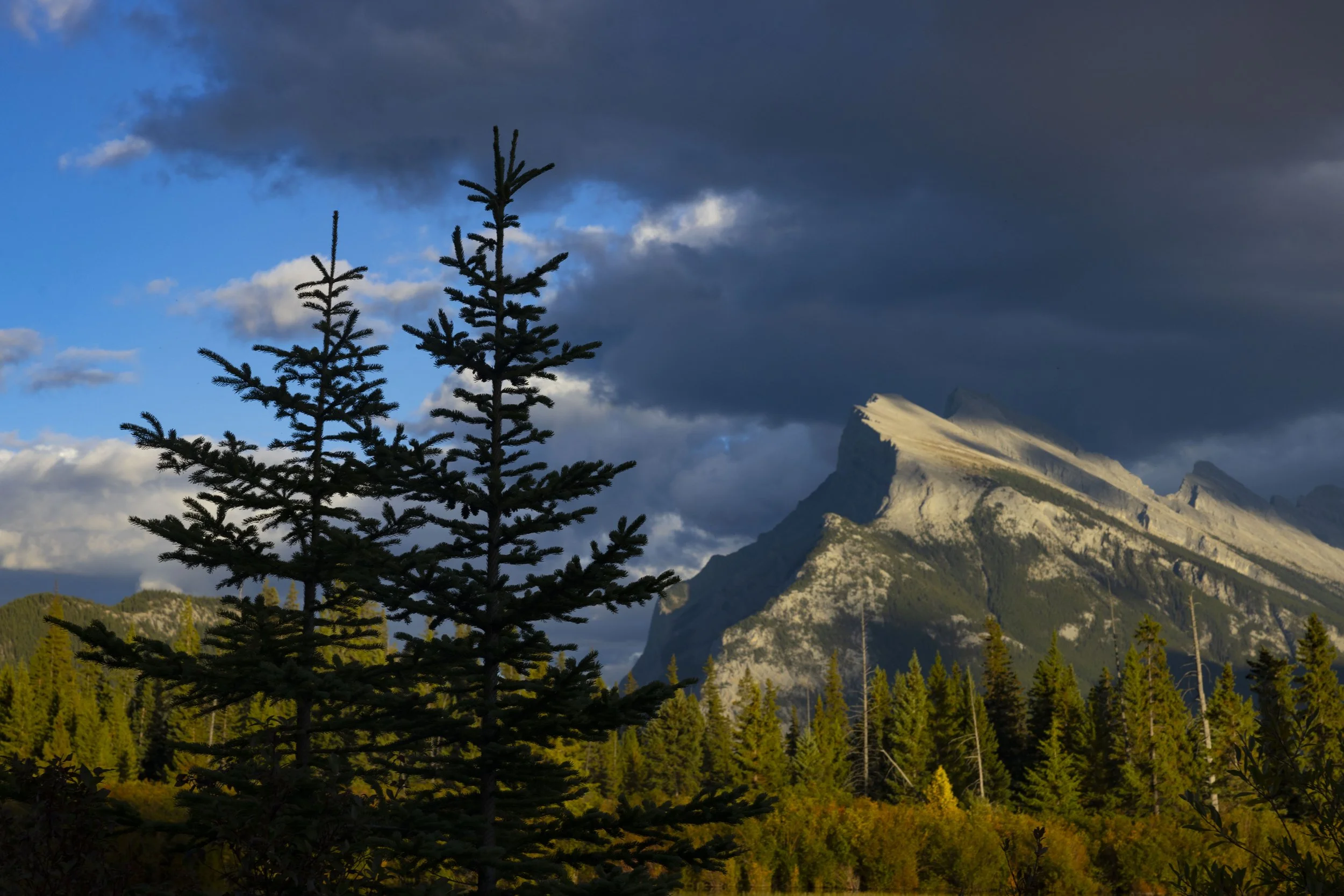 Kananaskis_Canadian_Rockies_Photo_Tour_Workshop-0664.JPG