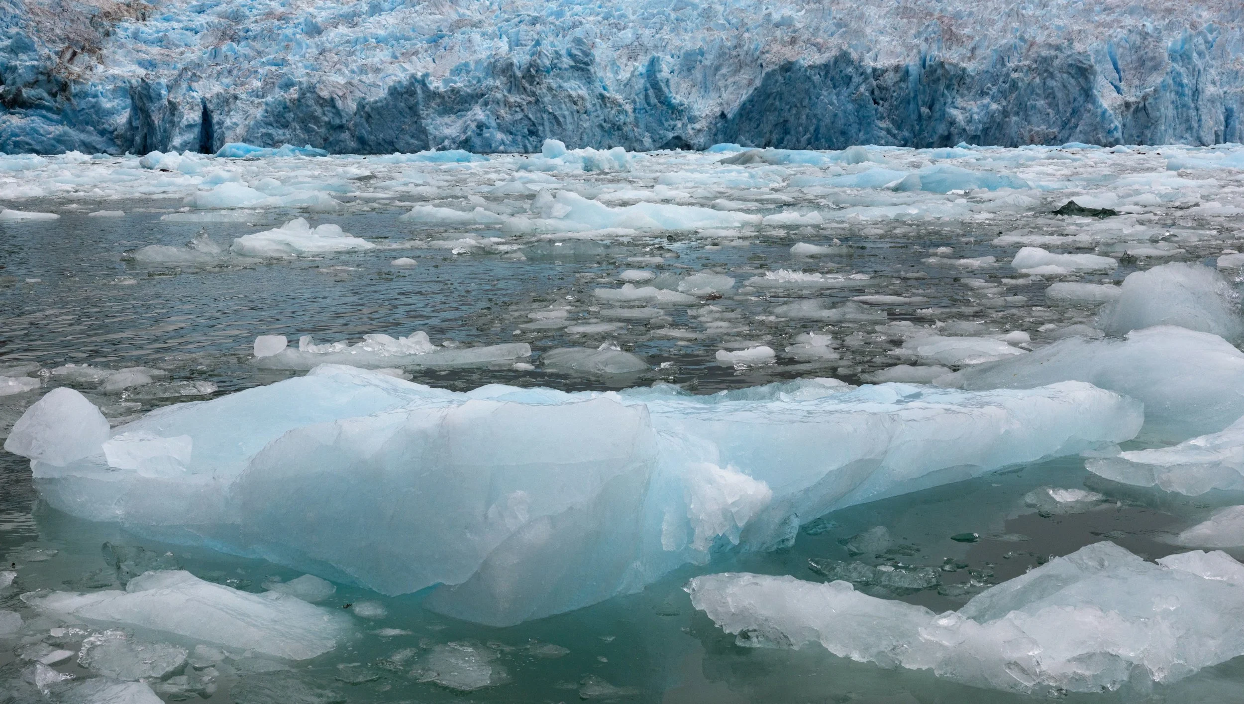 LeConte_Glacier_Alaska_Photo_Tour_Workshop-6635.jpg