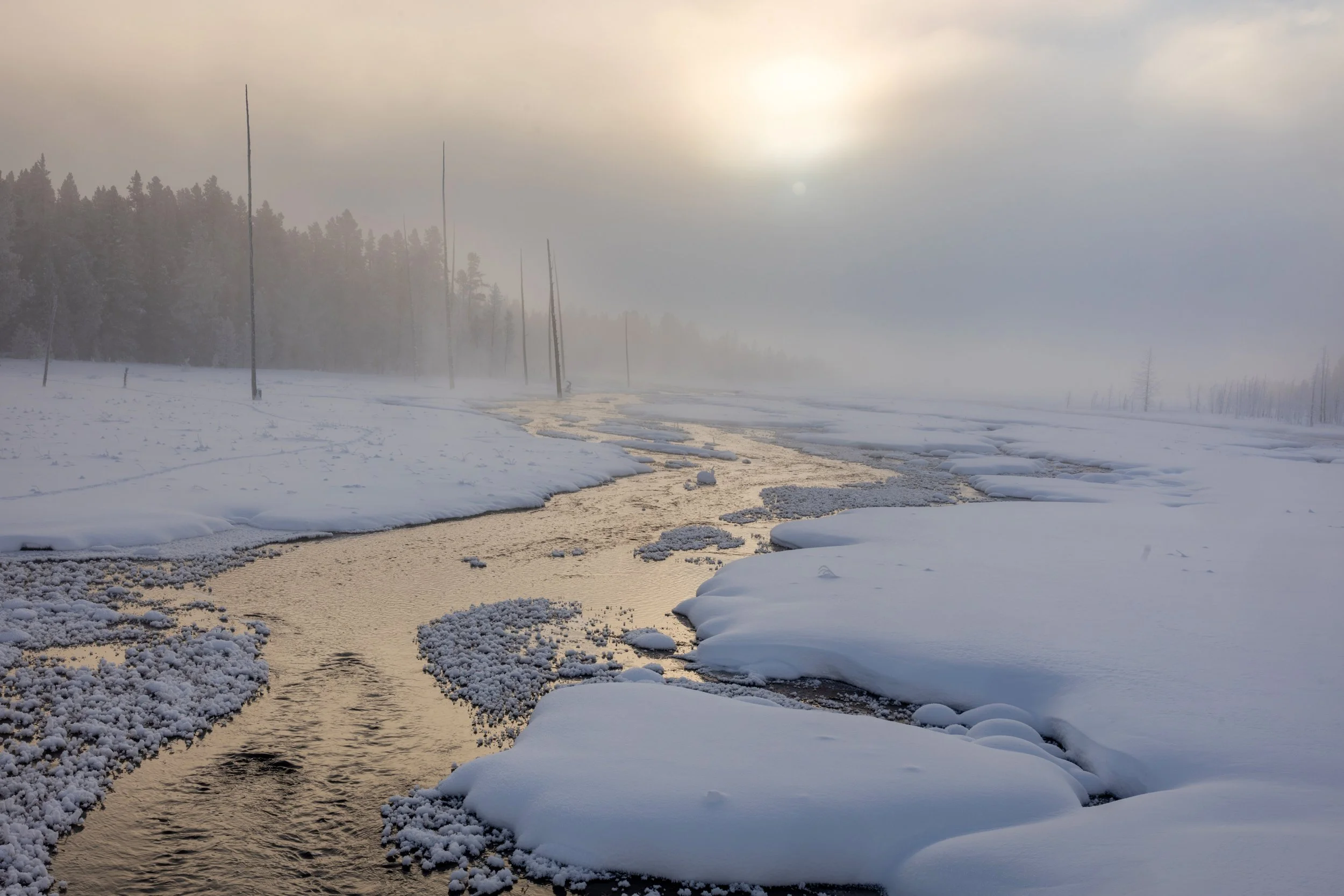 Yellowstone_Winter_Photo_Tour_Workshop-6064.jpg