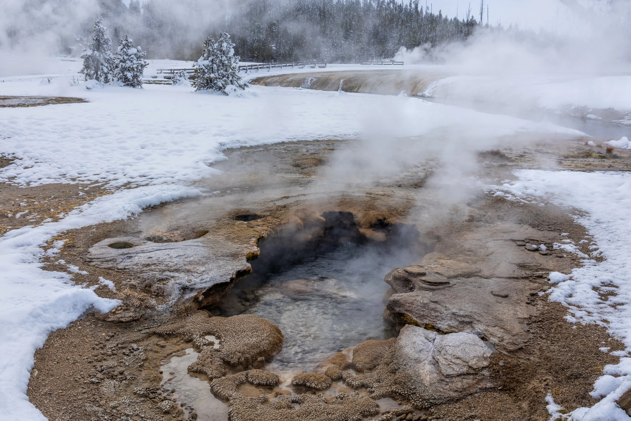Yellowstone_Winter_Photo_Tour_Workshop-7763.jpg