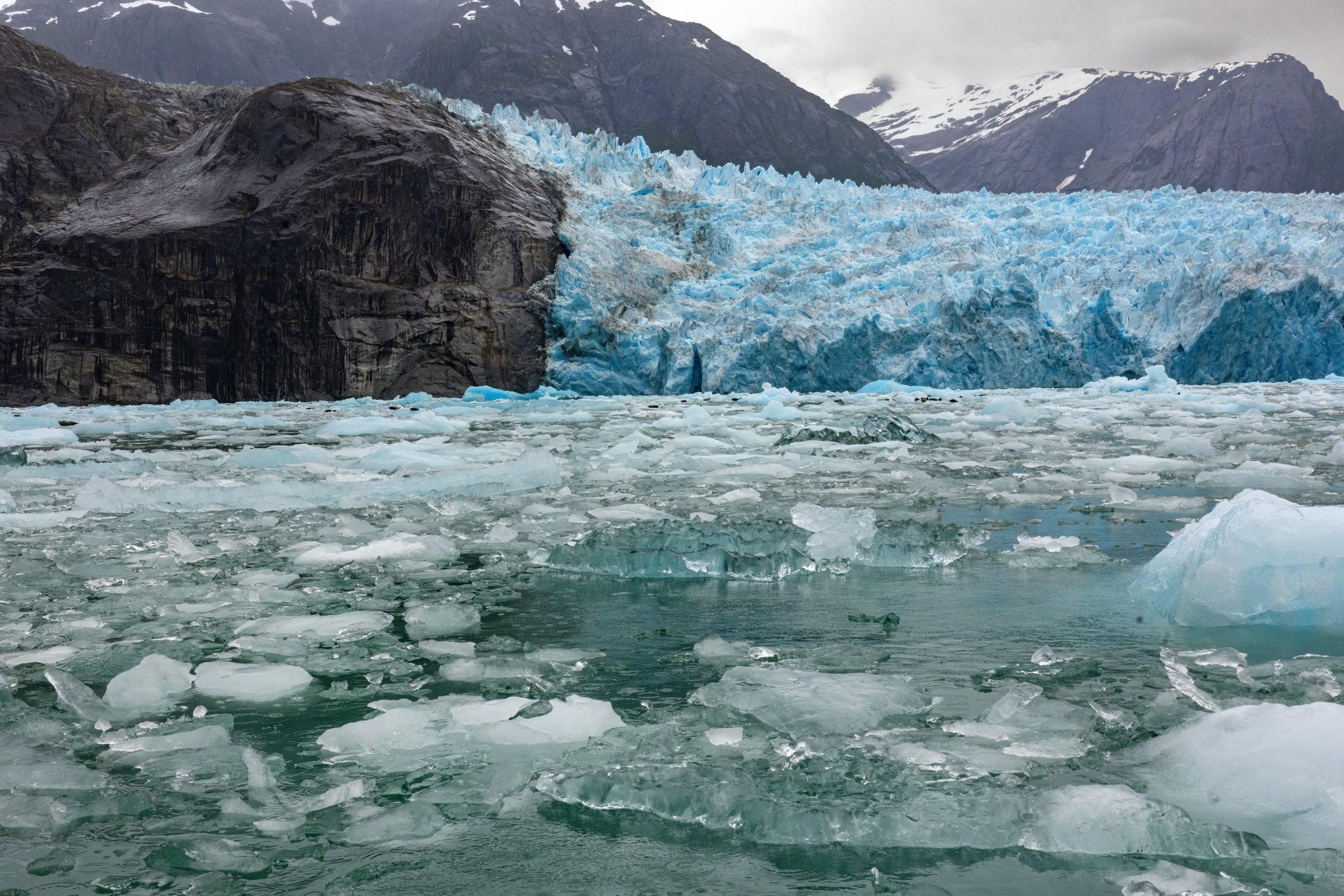 LeConte_Glacier_Alaska_Photo_Tour_Workshop-5928.jpg