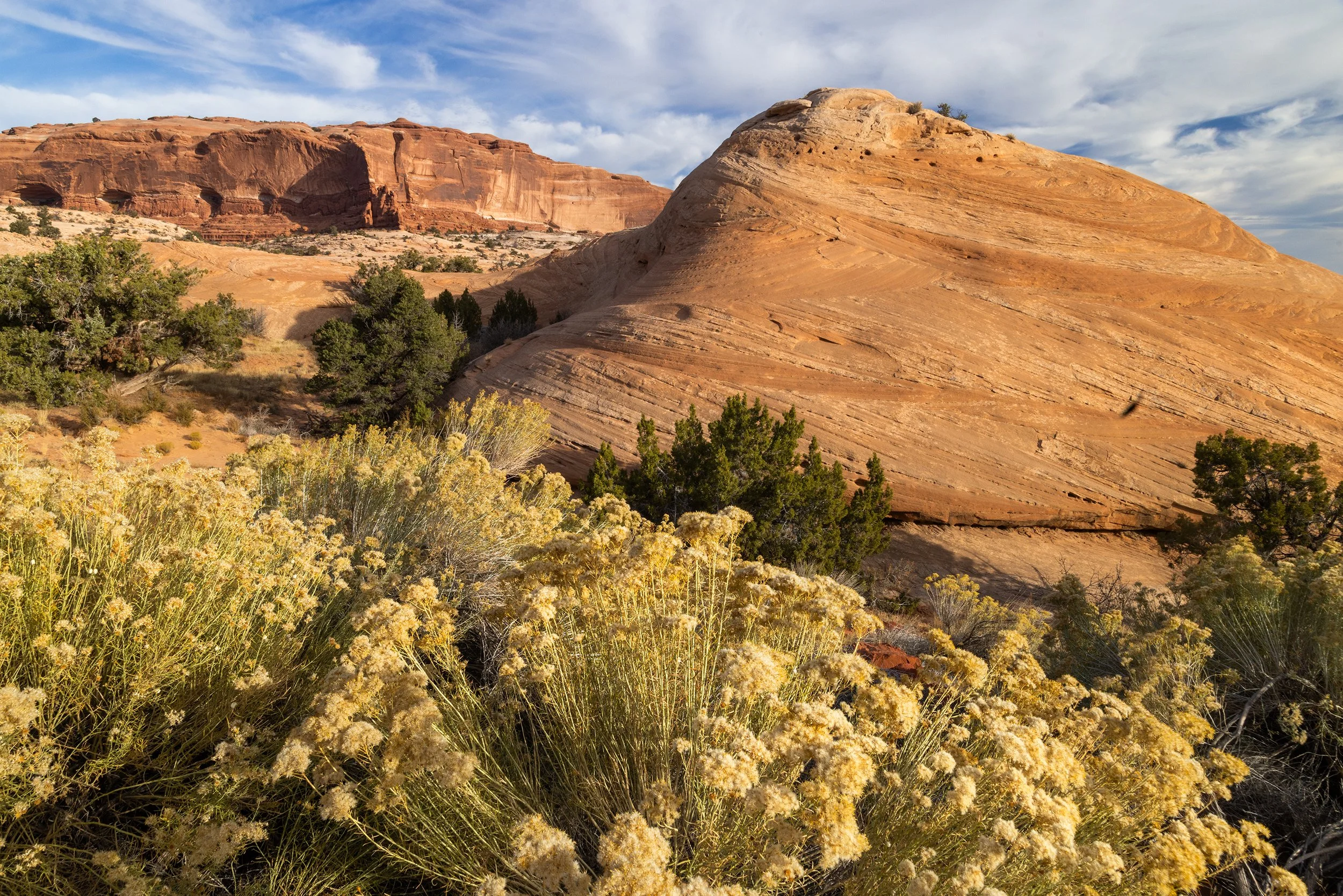 Buttes_Utah_SW_Photo_Workshop_Tour-9684.jpg
