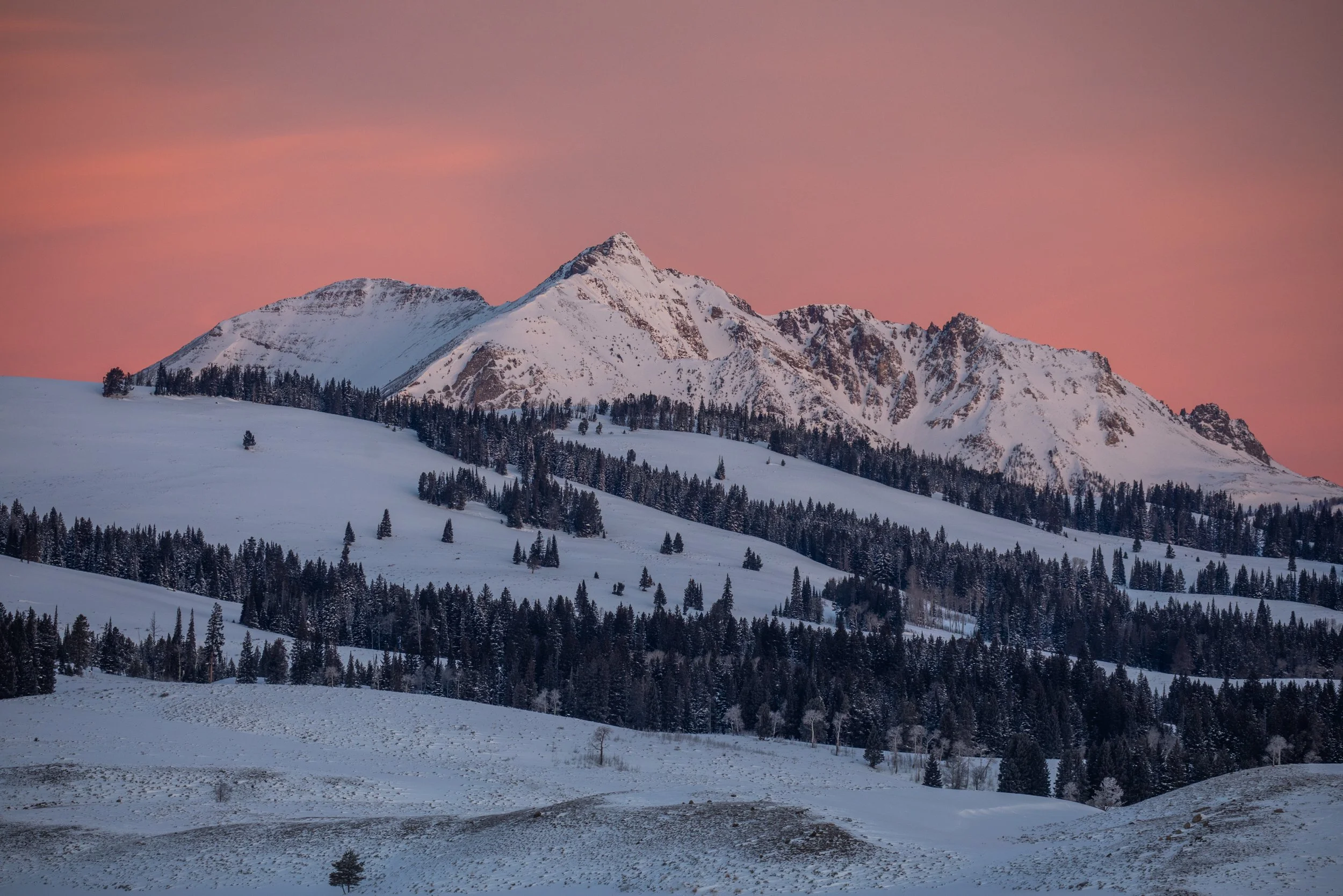 Yellowstone_Winter_Photo_Tour_Workshop-1082.jpg