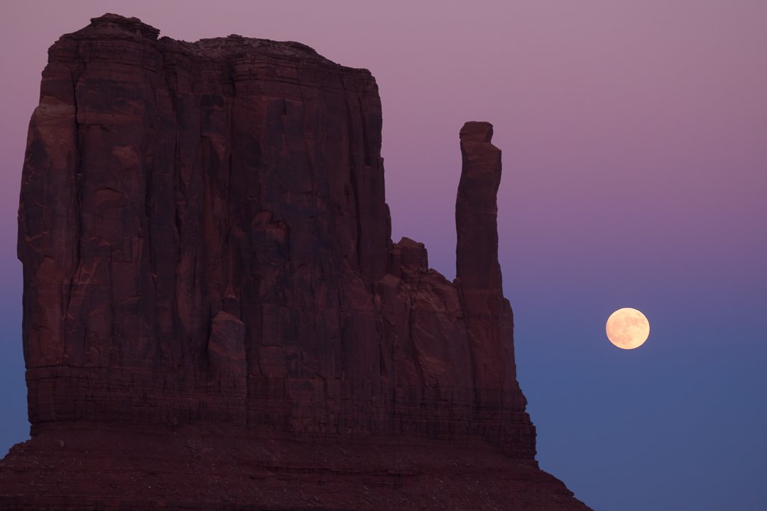 2025 Photo Tours and Workshops — Slonina Nature Photography