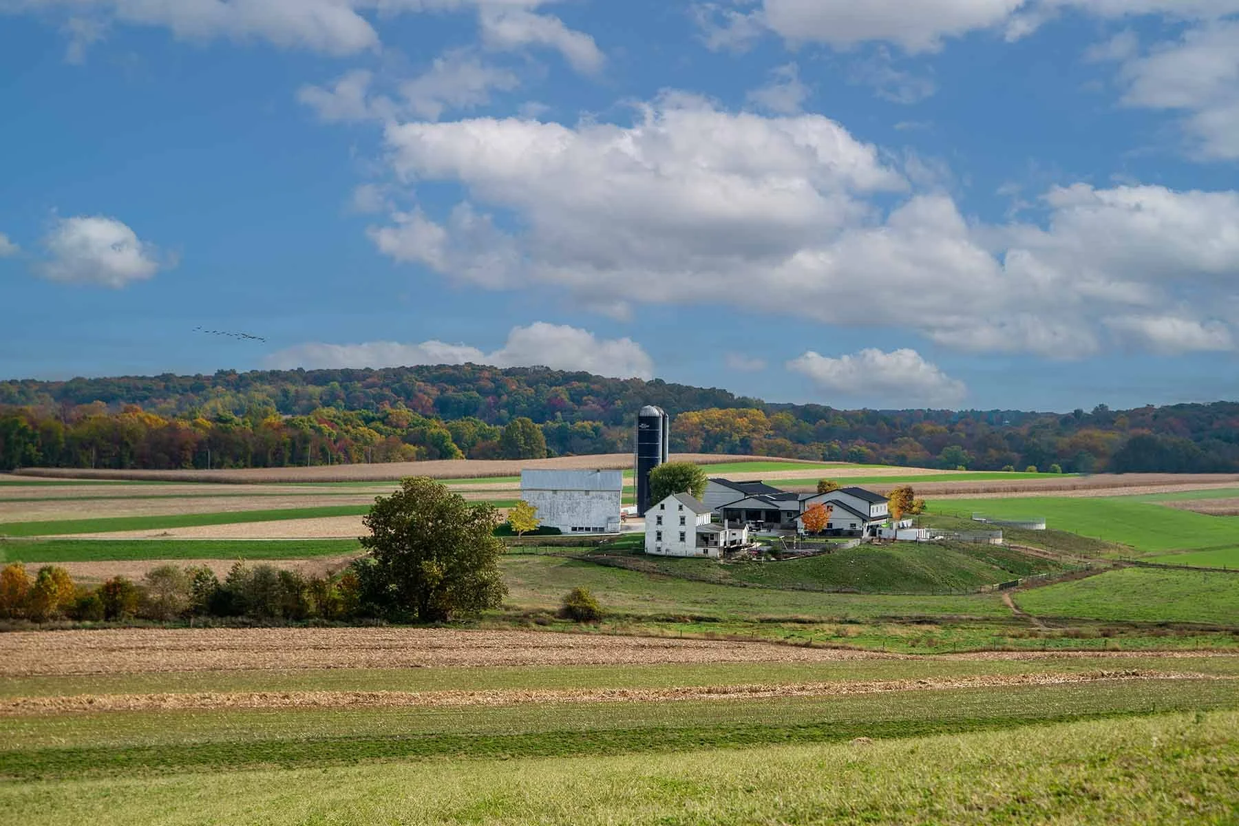 Lancaster County, Pennsylvania Farm, farming