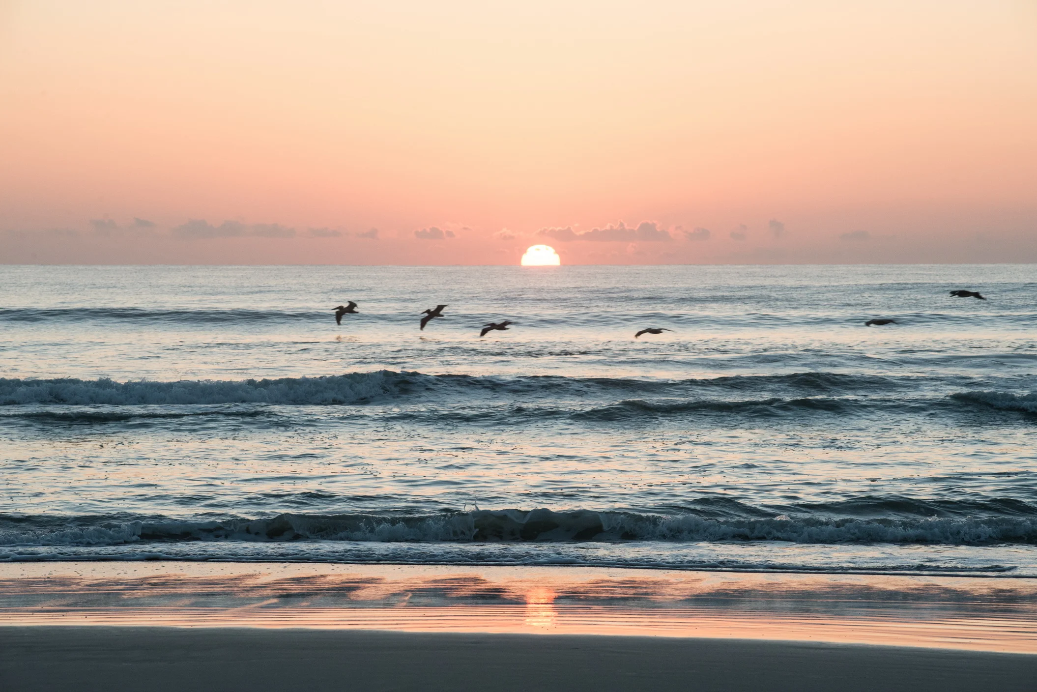 Sunrise Pelican (1 of 1).jpg