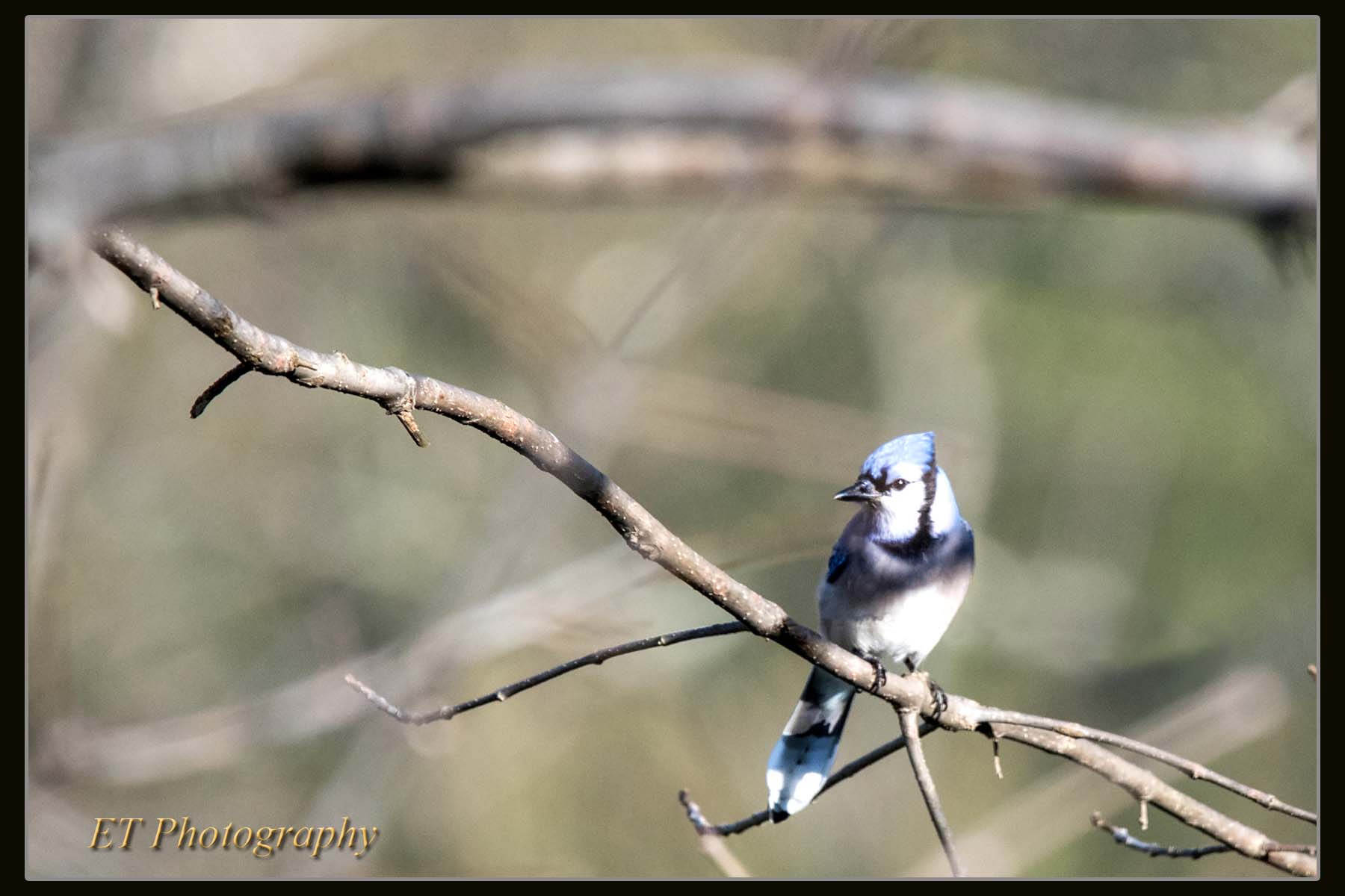 Captured on March 9th, 2017