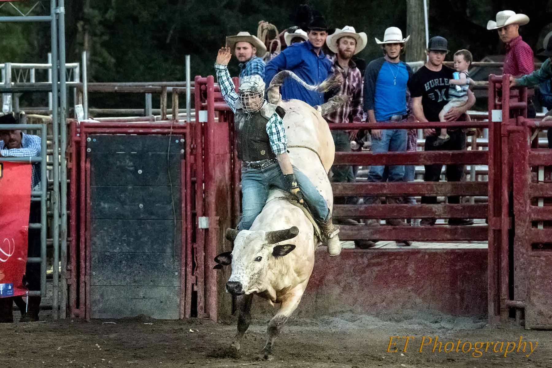 Rodeo1.jpg