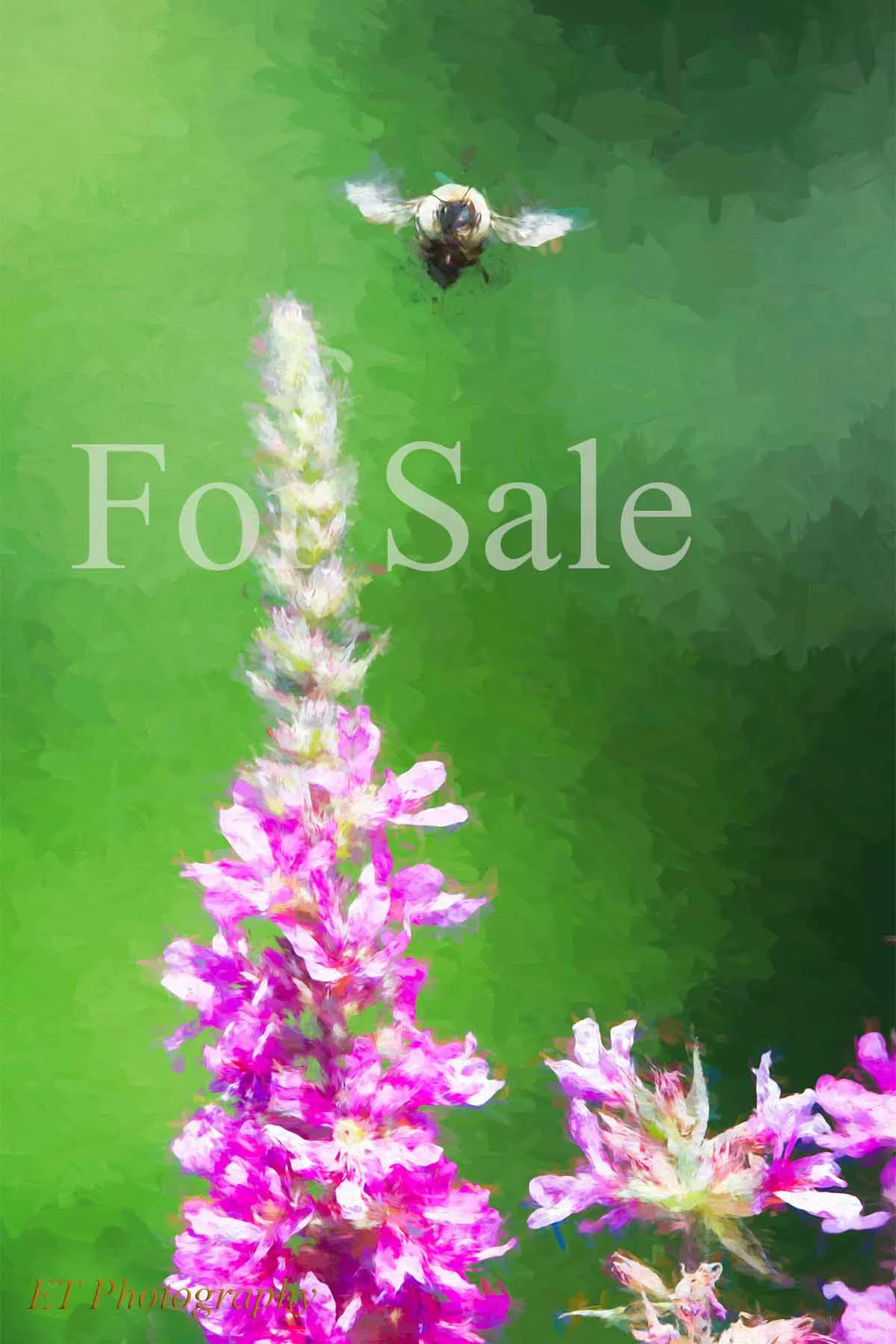 BeeOverFlower.jpg