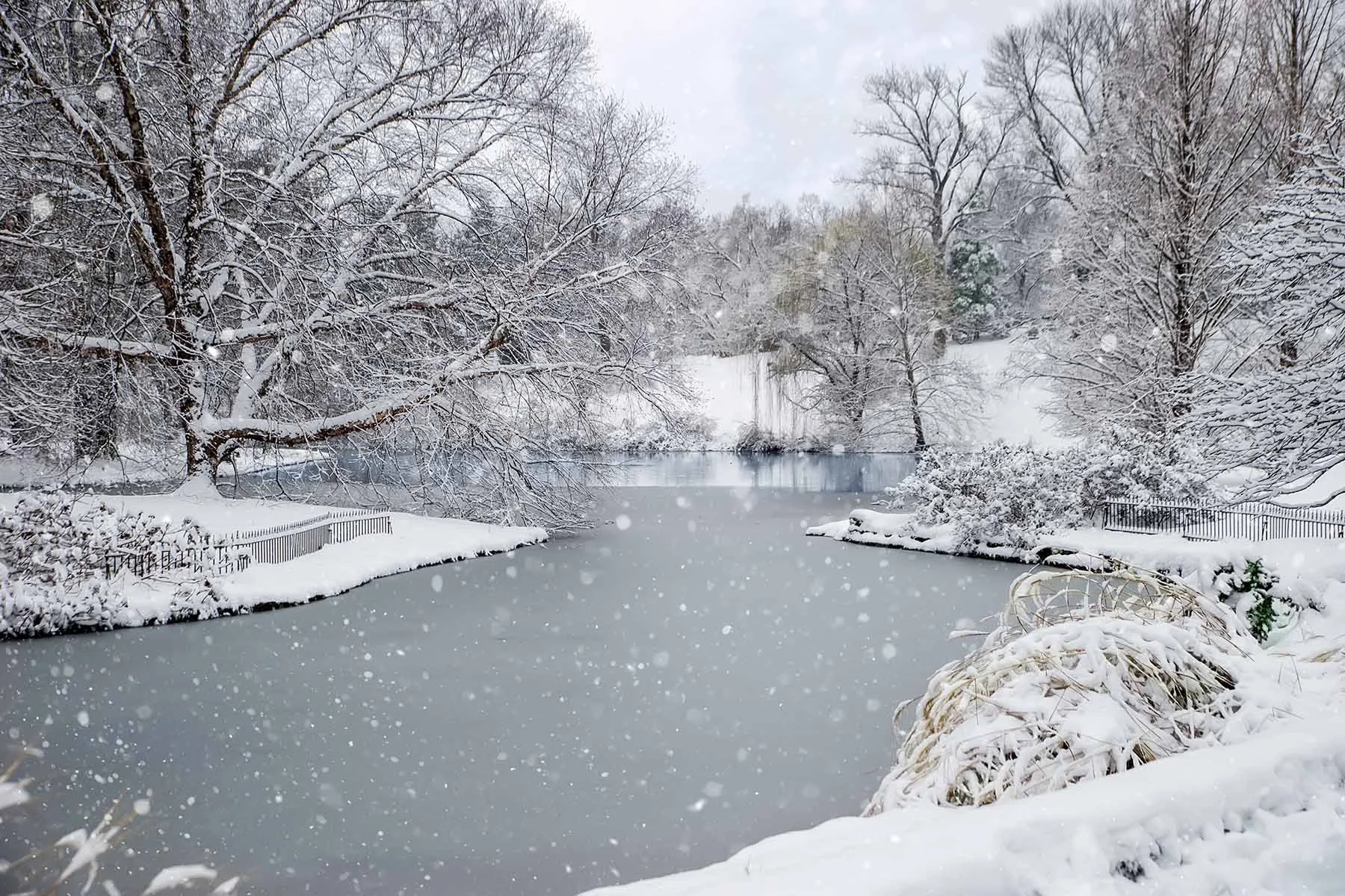 Spring Grove Cincinnati, winter in Cincinnati, Landscape photography, winter in spring grove