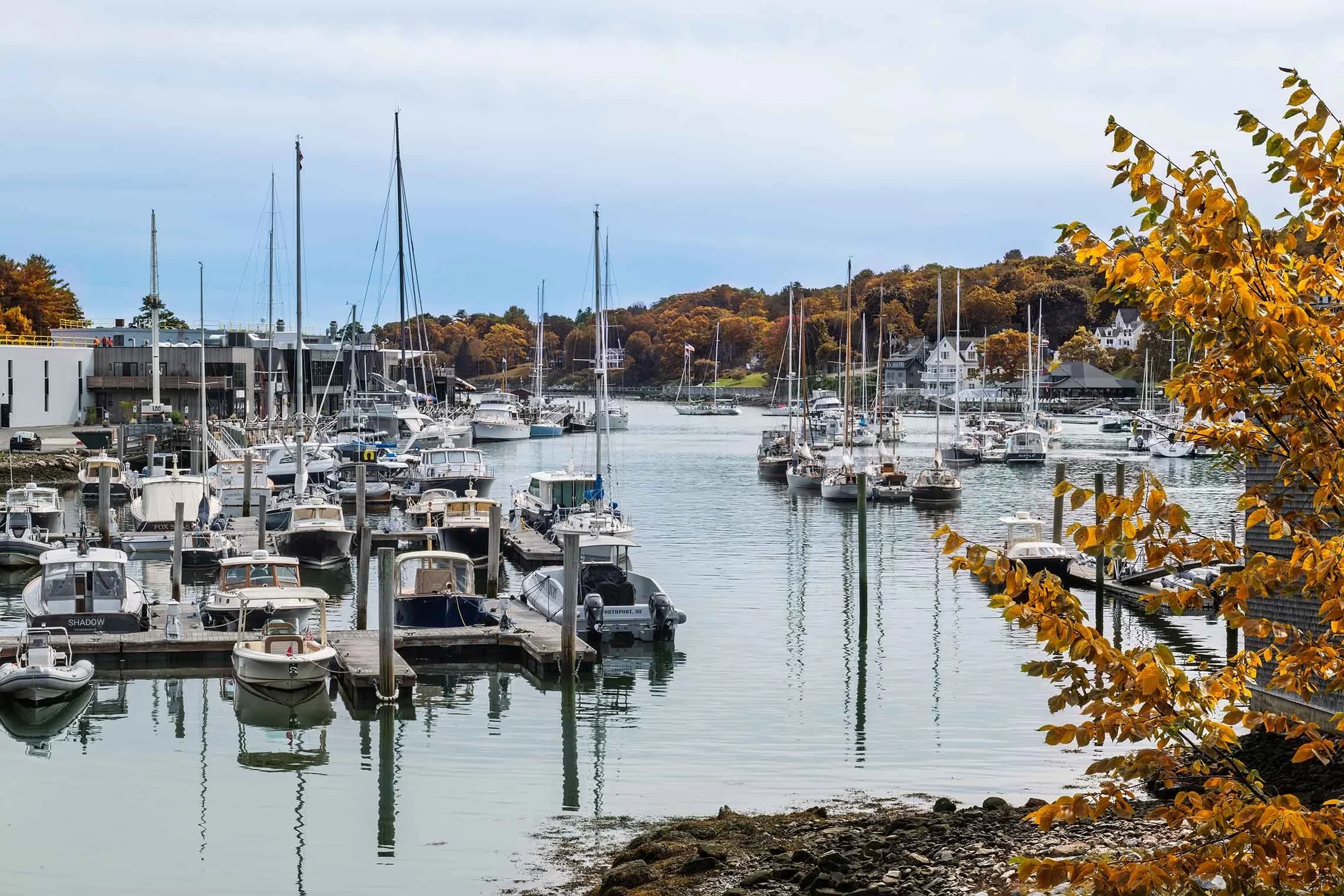 Damariscotta Harbor in Maine filled with anchored sailboats on calm water, captured in crisp coastal light as fine art photography for buyers seeking Maine harbor prints, nautical wall art, and New England seaside scenes.