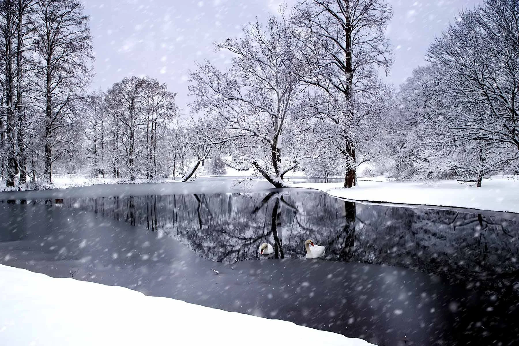 Spring Grove Cincinnati, winter in Cincinnati, Landscape photography, winter in spring grove