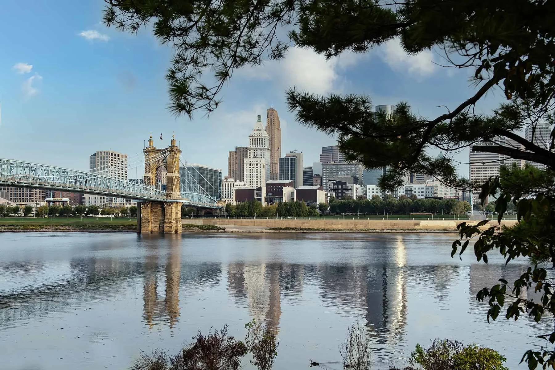 Cincinnati Skyline, John A Roebling Bridge