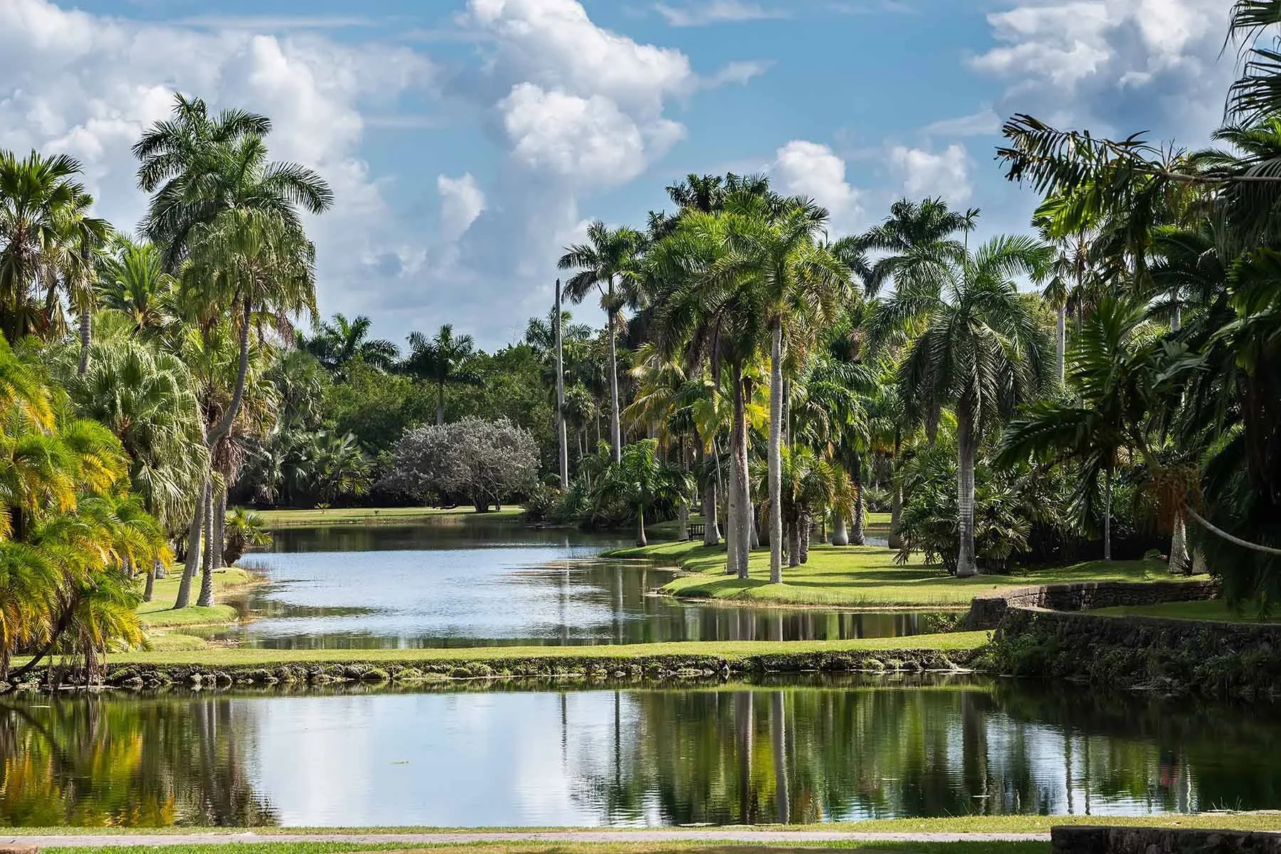 Fairchild, David Fairchild, botanical gardens, Florida, landscape photography