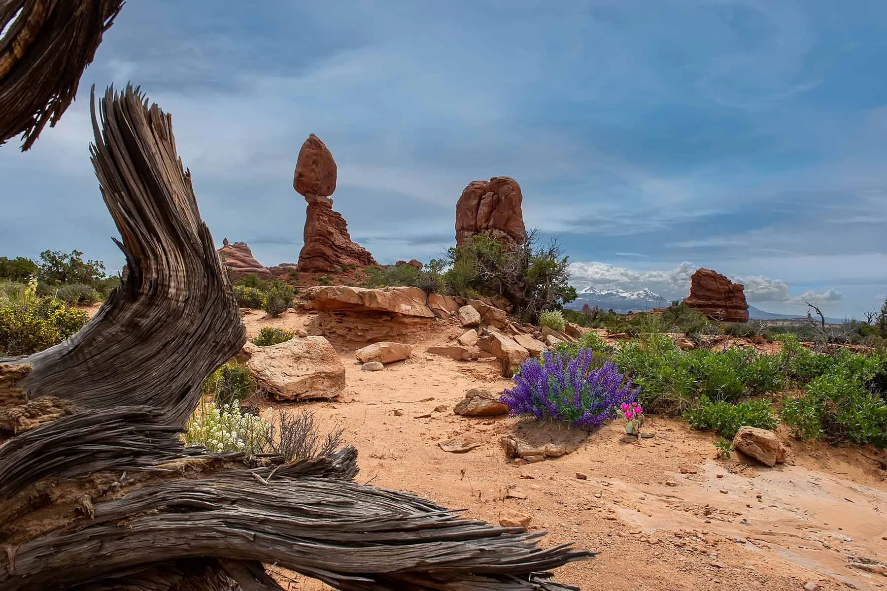 Landscape Photography, Utah, Utah desert, Arches National Park, Balancing Rock