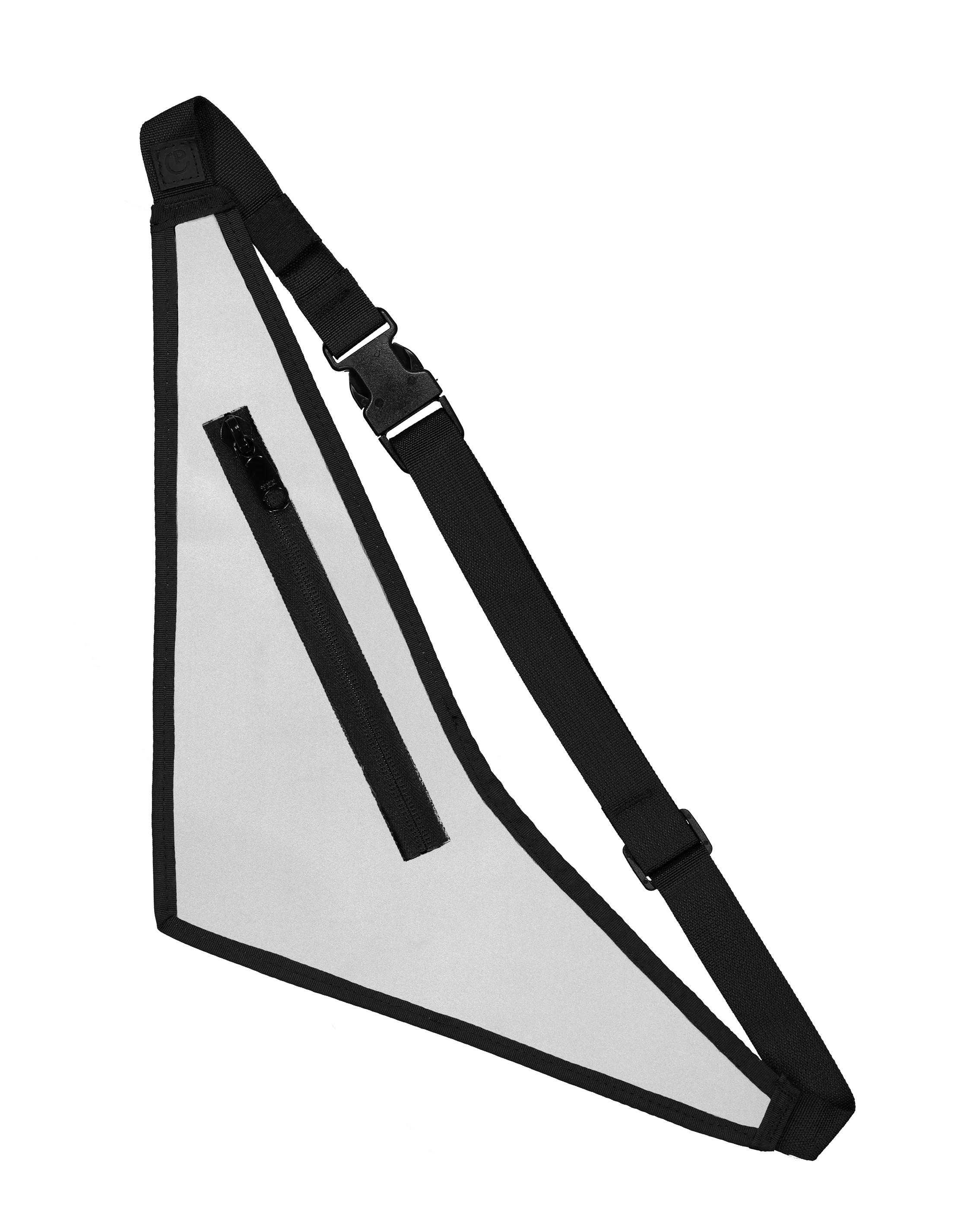 SilverFannyPack.jpg