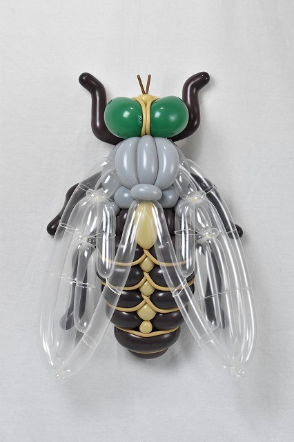 house fly balloon animal