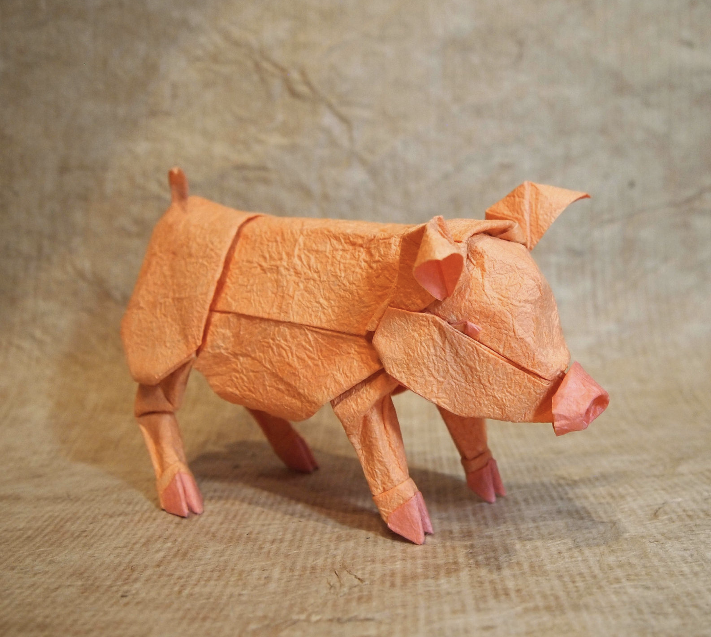paper pig