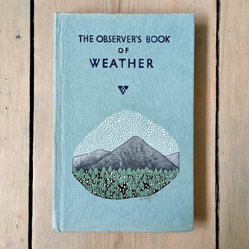 cute British book on weather