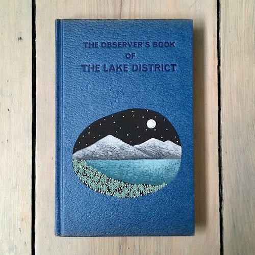 cute illustrated nature book design book cover for Lake District