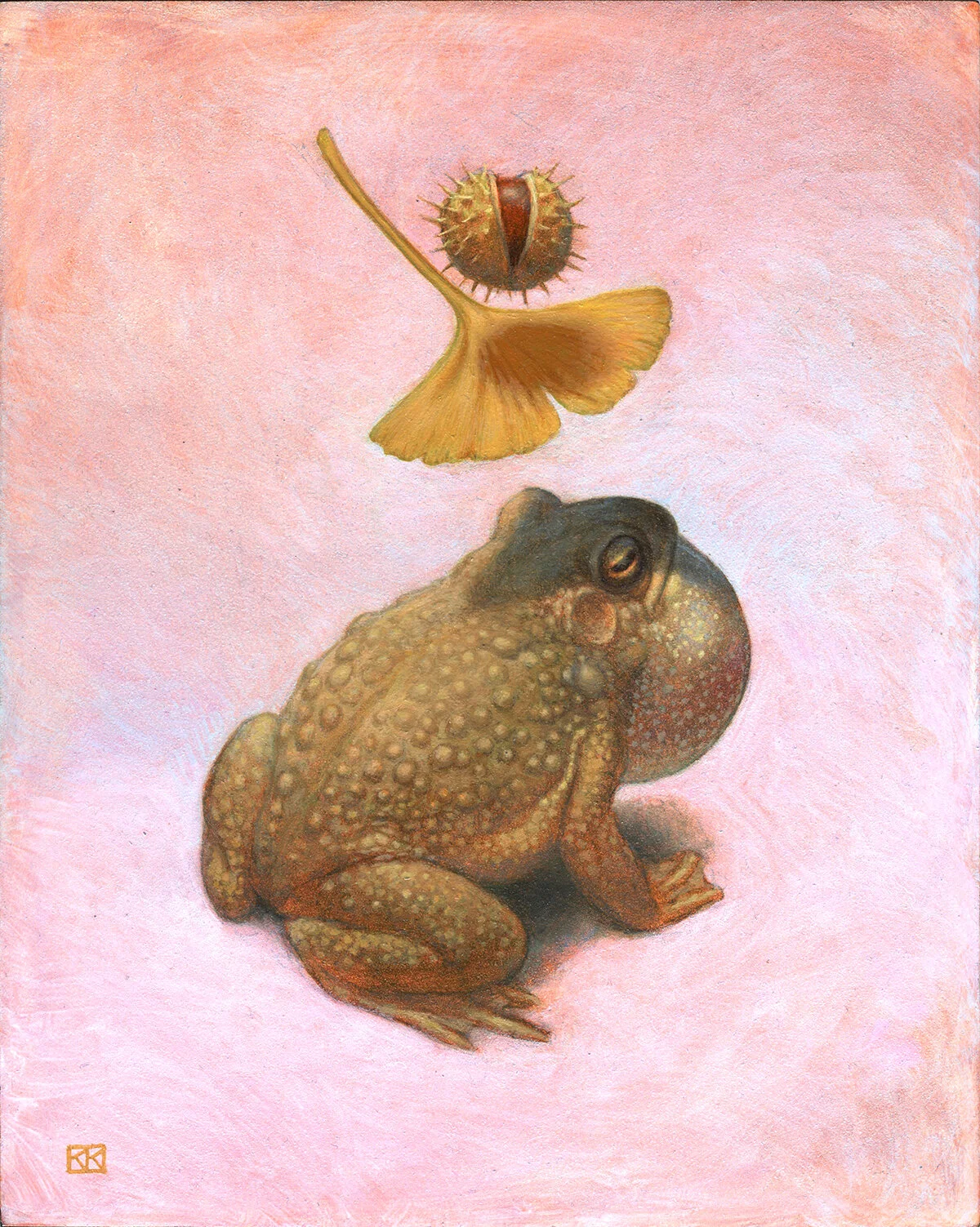 Toad