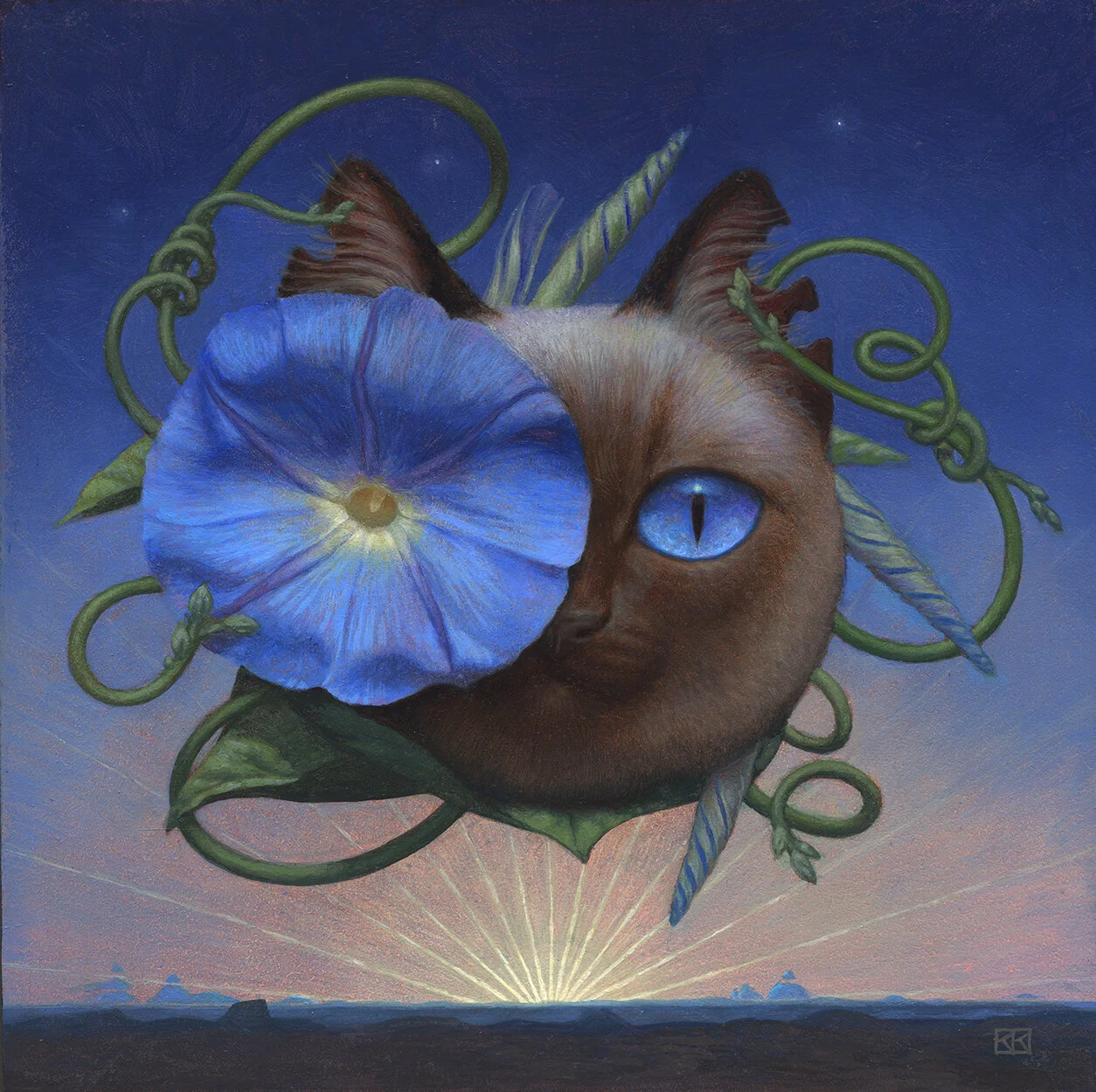 Cheshire Cat, Dawn