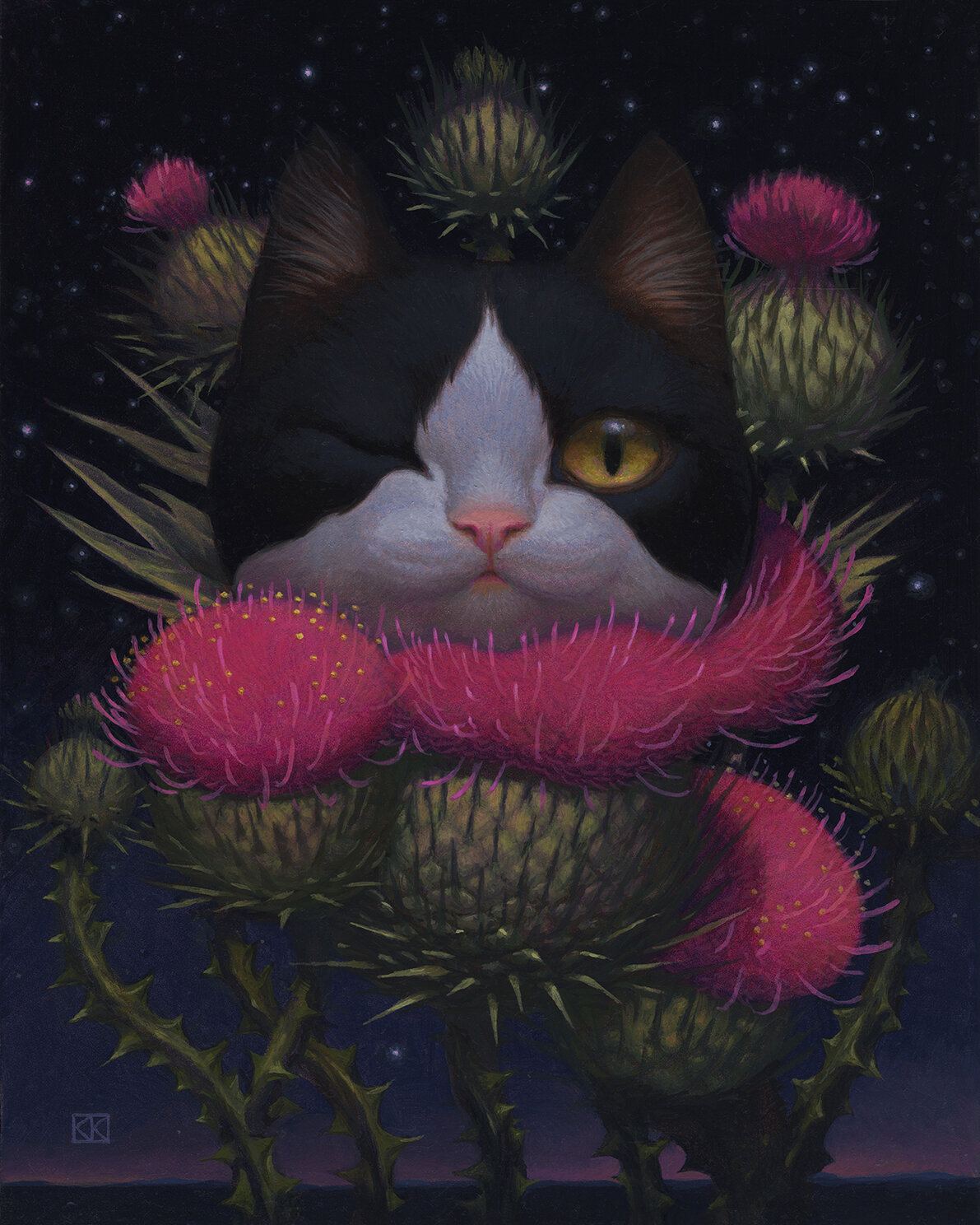 Cheshire Cat - Midnight