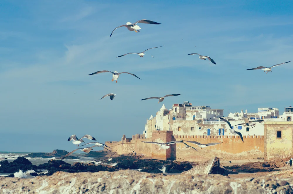 Hashpoint-surfcamp-taghazout-essaouira.jpg