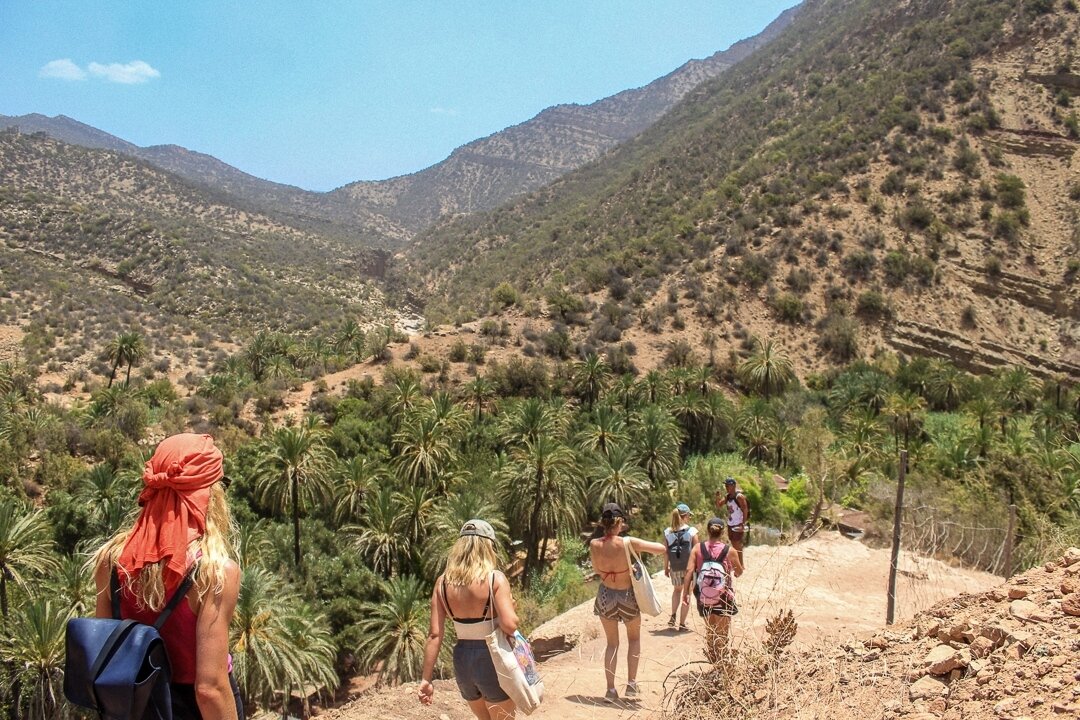 Palm trees for days 🌴⁠
Soak up some fresh air in the valley of Paradise. Perfect for a day trip. Who is coming next time?⁠
⁠
#taghazout #surfcamp #goodvibes #roadtripmorocco