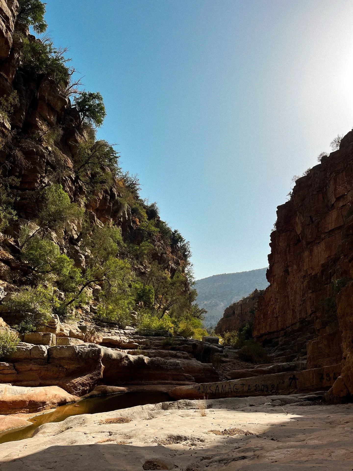 PARADISE VALLEY, BABY! 🌴
Throwback to early summer when we hiked to paradise valley to spend an afternoon at this spot