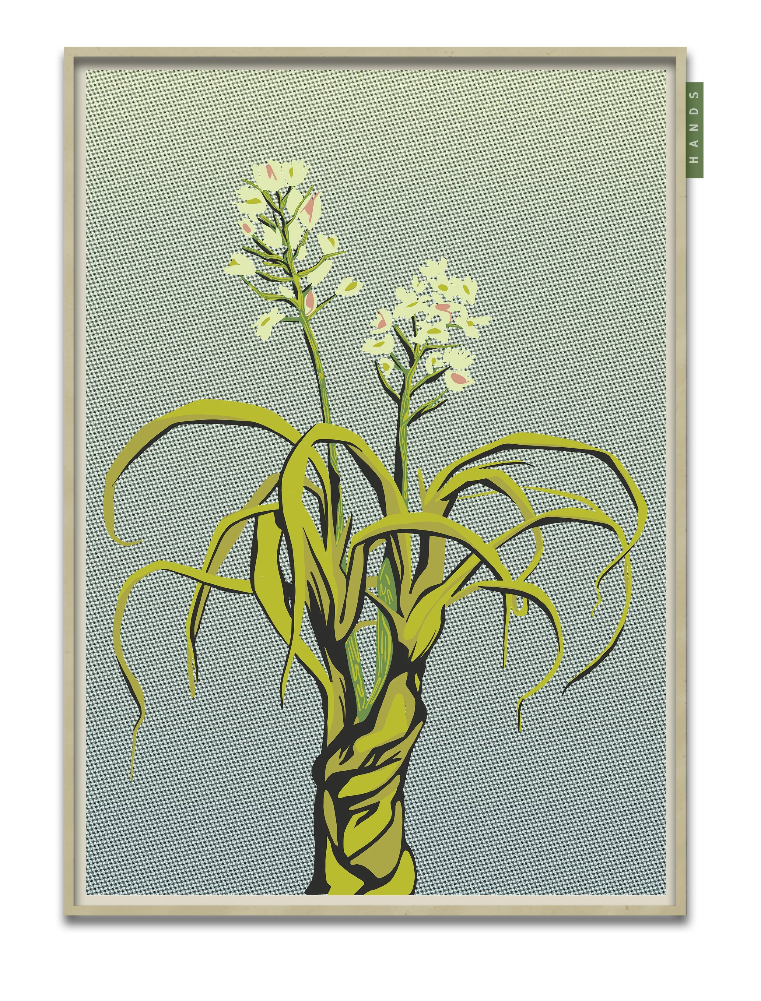 FLOWERS 2 FRAMED MAPLE.jpg