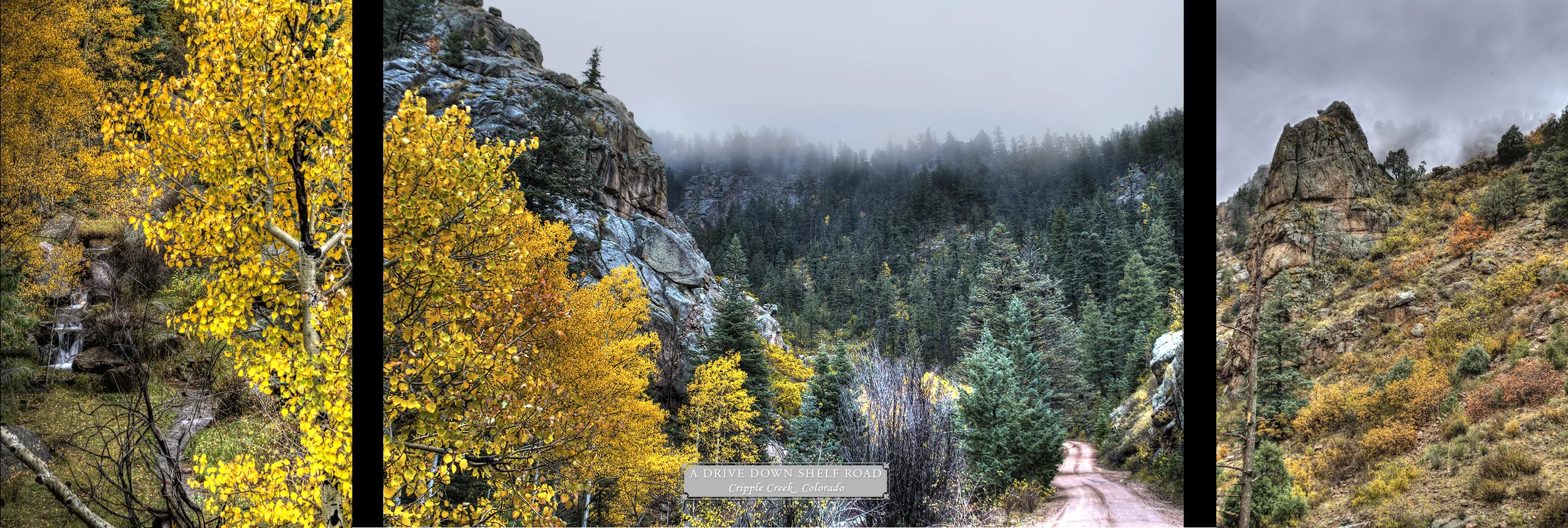 A Drive Down Shelf Road Collage