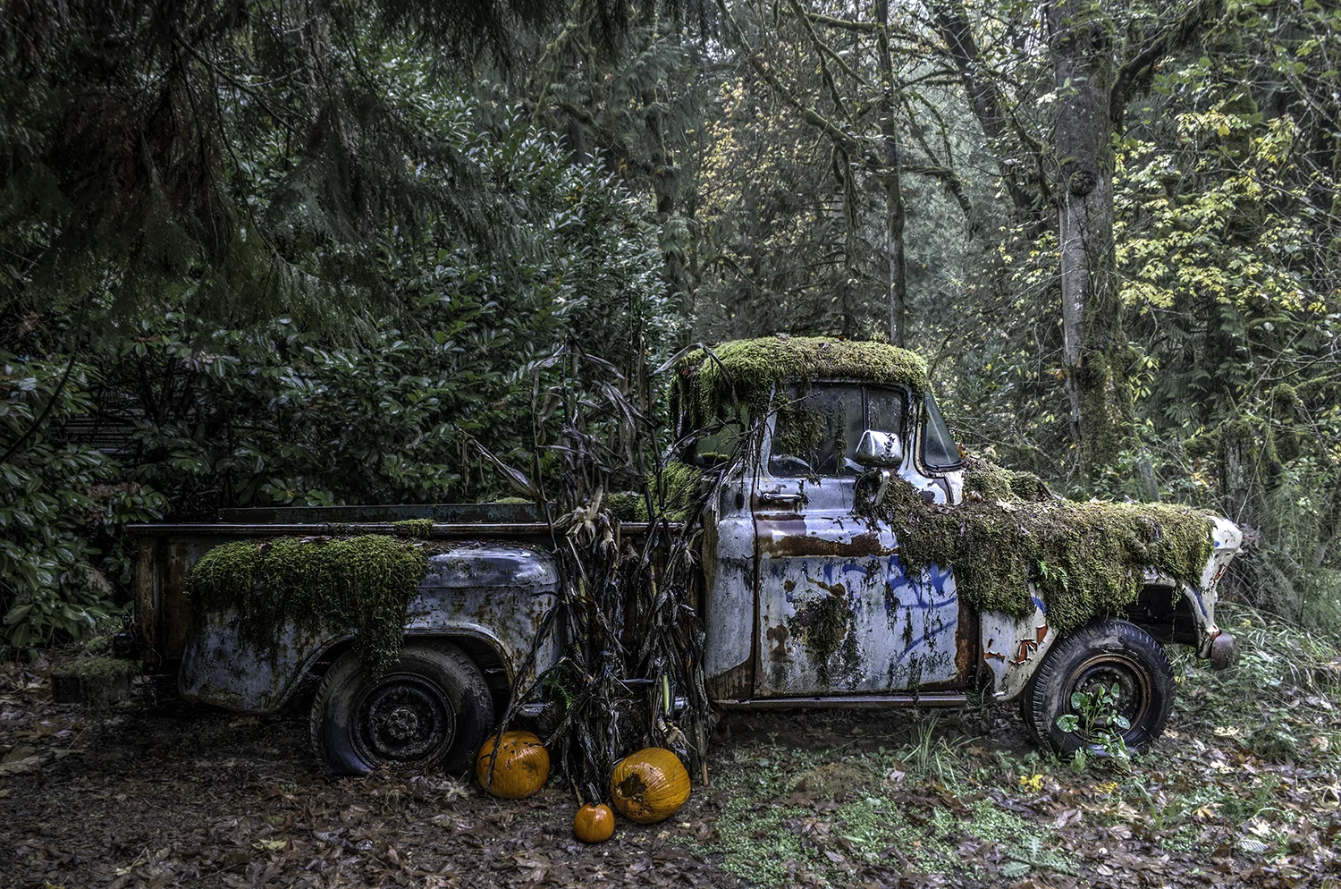 Mossy Truck