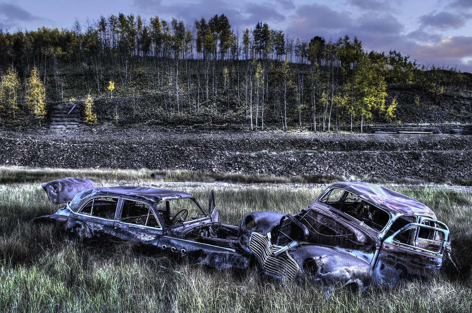 Old Friends In The Fall