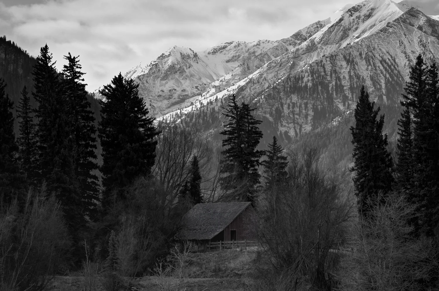 Almighty Mountains and Happy Little Trees