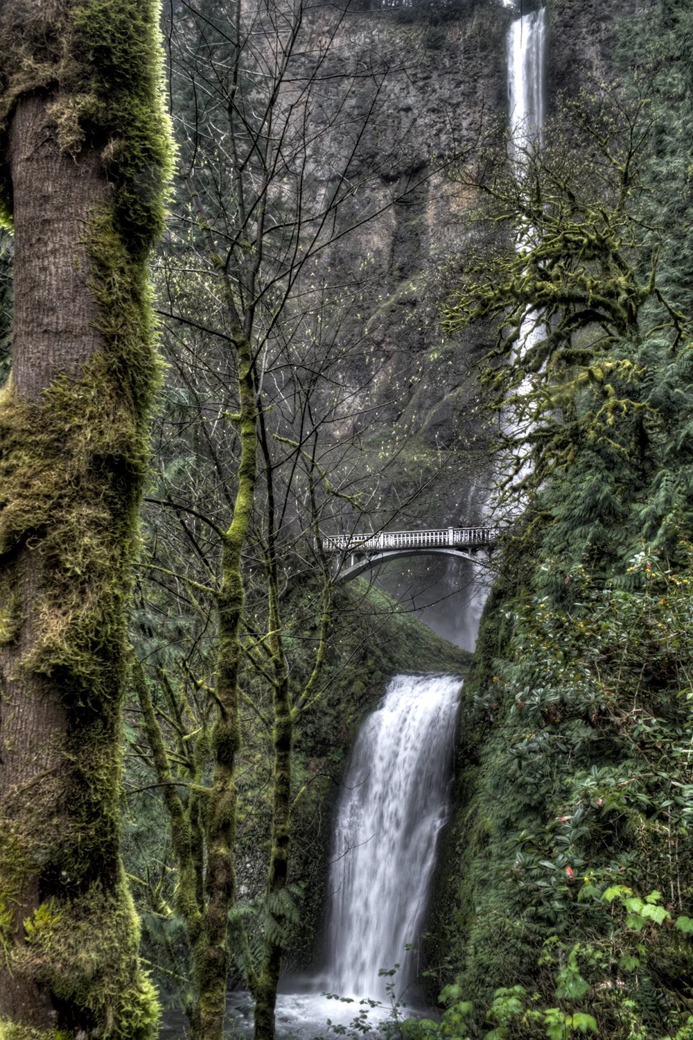 Multnomah Falls in Spring