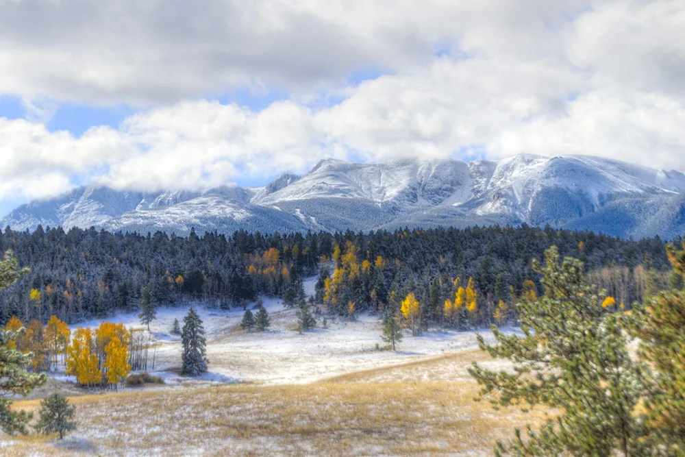 When Snow and Leaves Collide