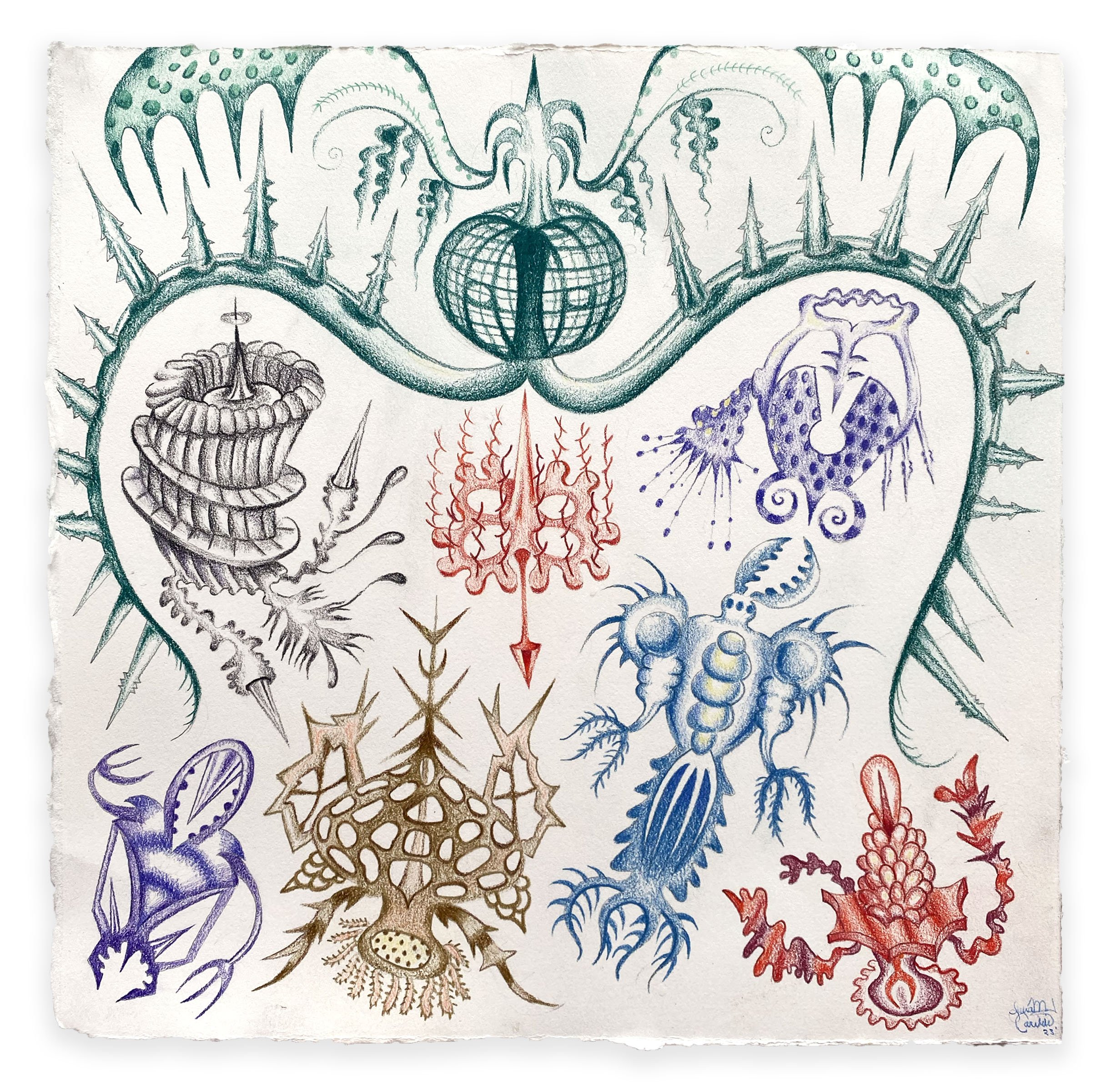 Ernst Haeckel Study, color pencil on paper, 12 x 12 in. 2022
