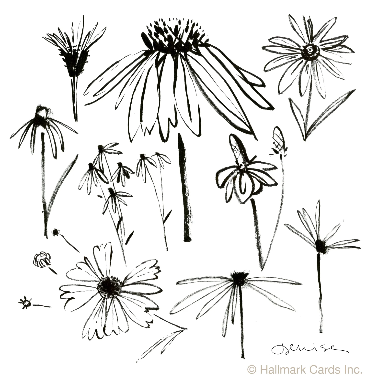 Flowers Prairie Brushwork.jpg